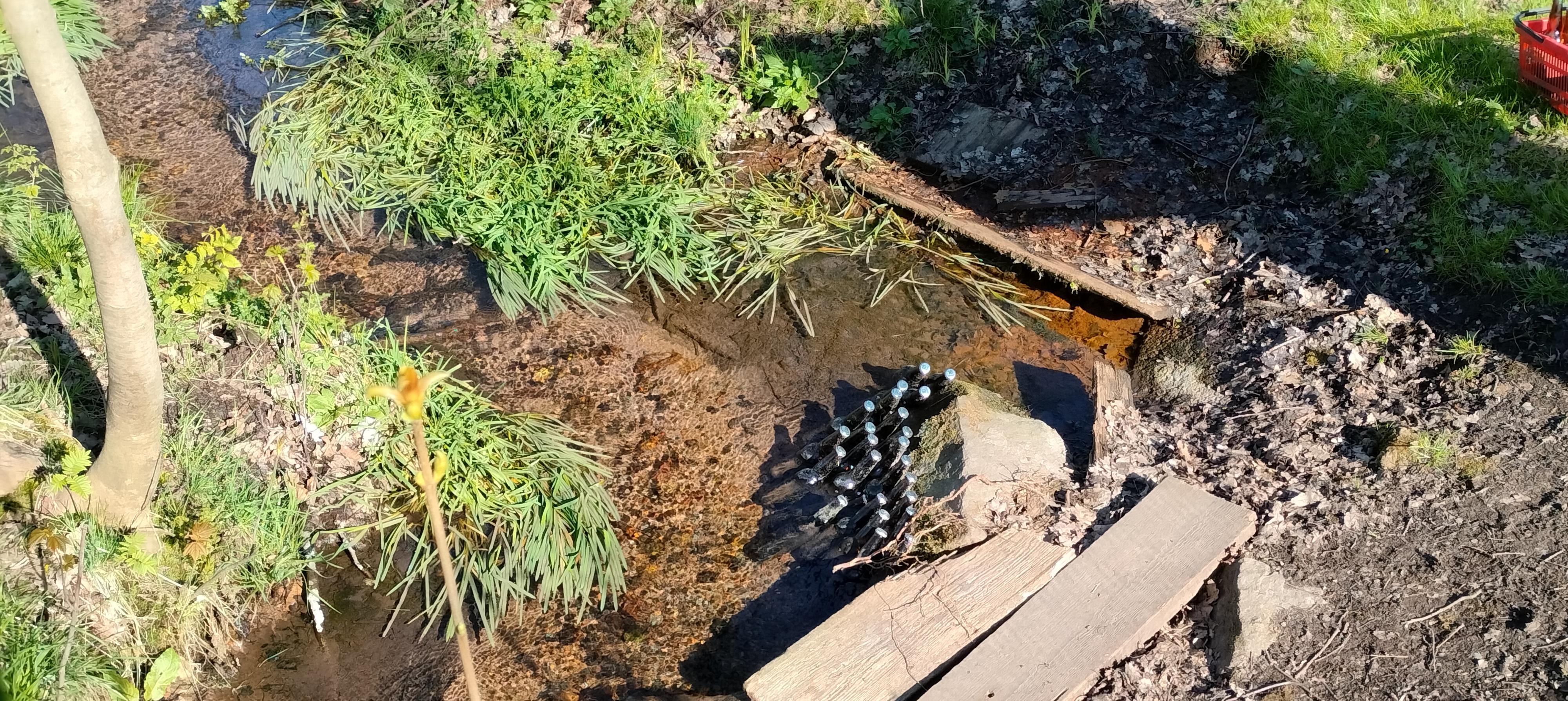 Lesní bar Údolí foto 5