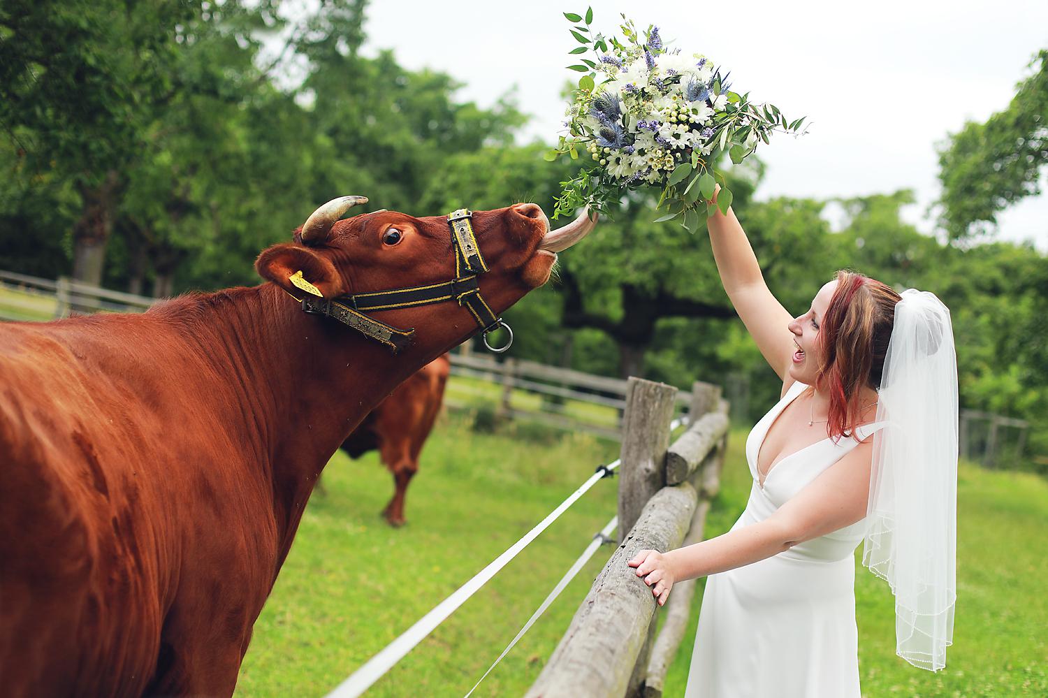 Svatební fotografie Katka Jelenová foto 5