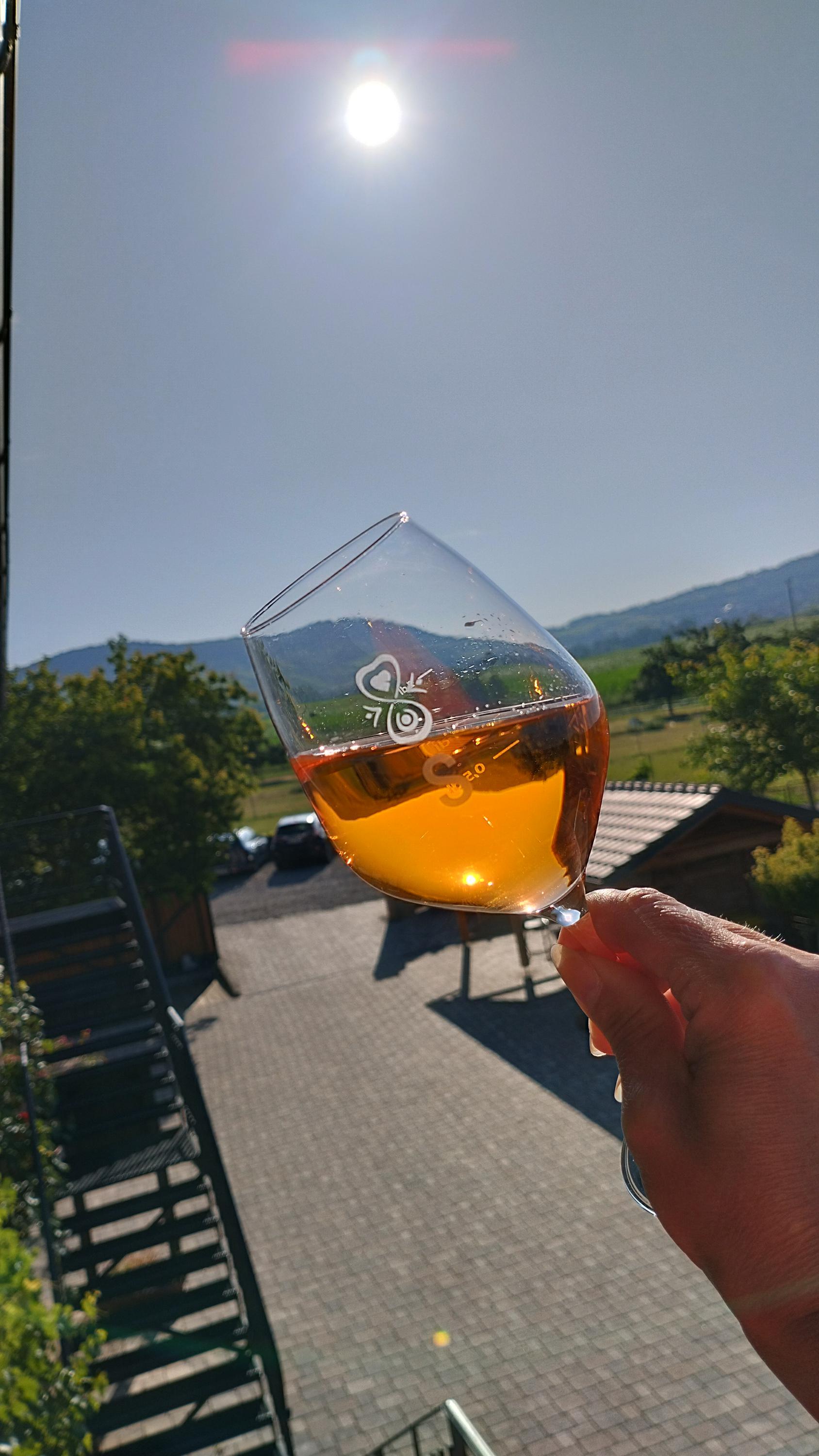 Vinařství Martin Šebesta foto 3