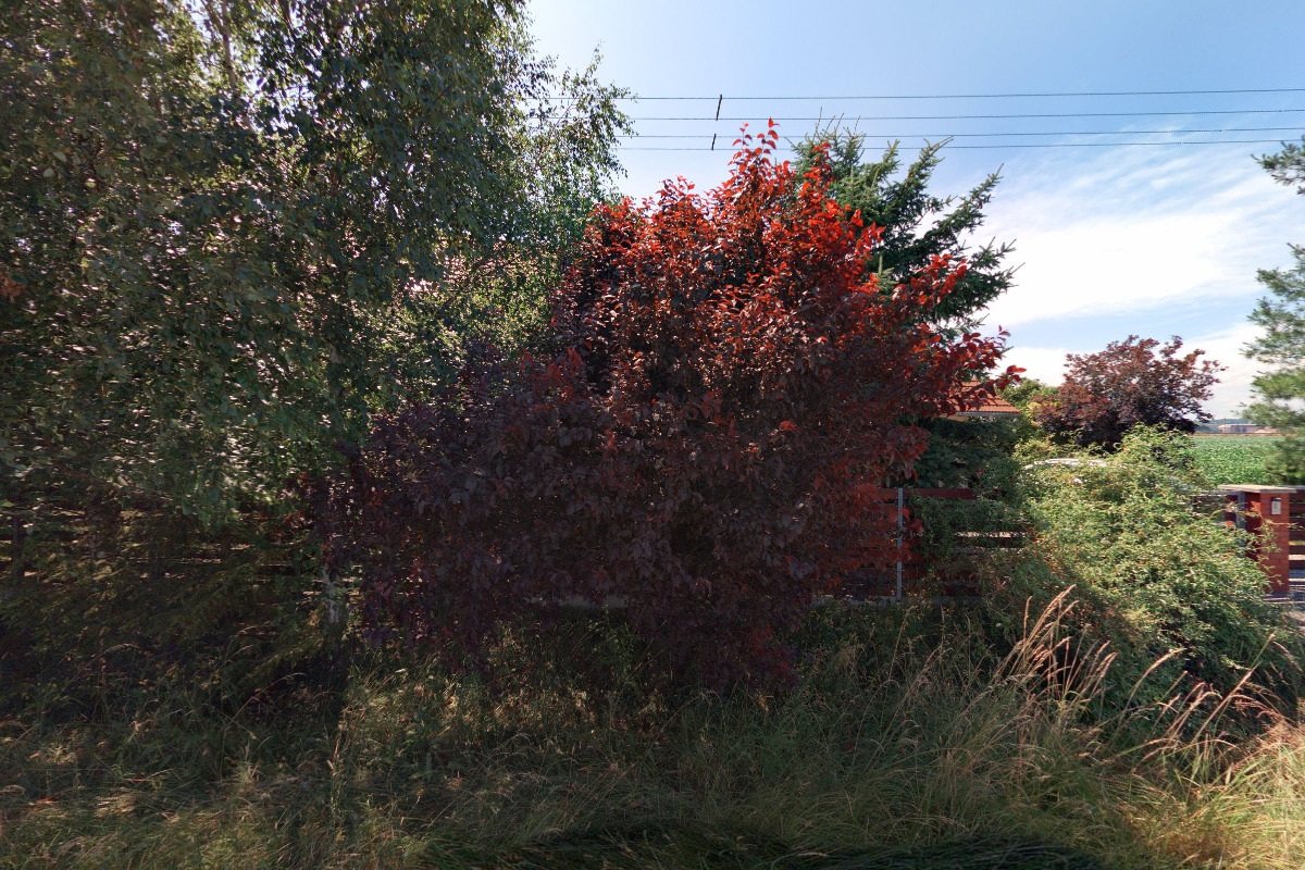 Tomáš Vidras - Energetika