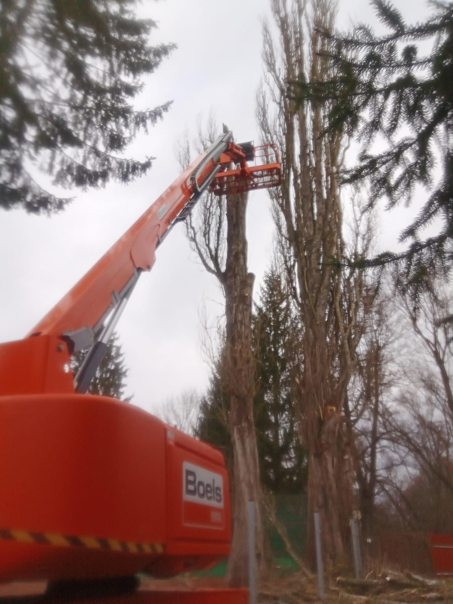 Rizikové kácení stromů a výškové práce Martin Bastl foto 4