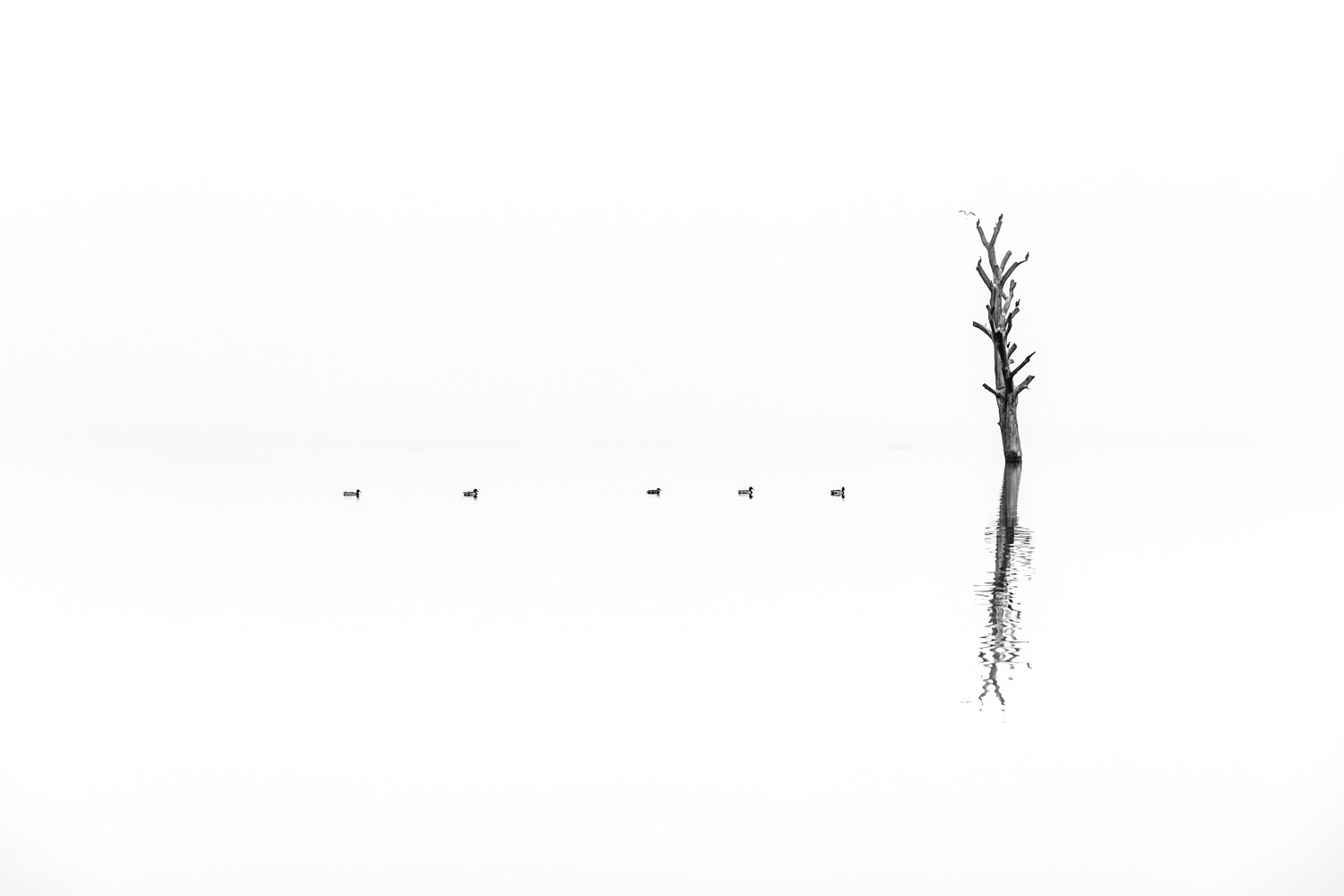 Fotograf Roman Ivičič foto 2