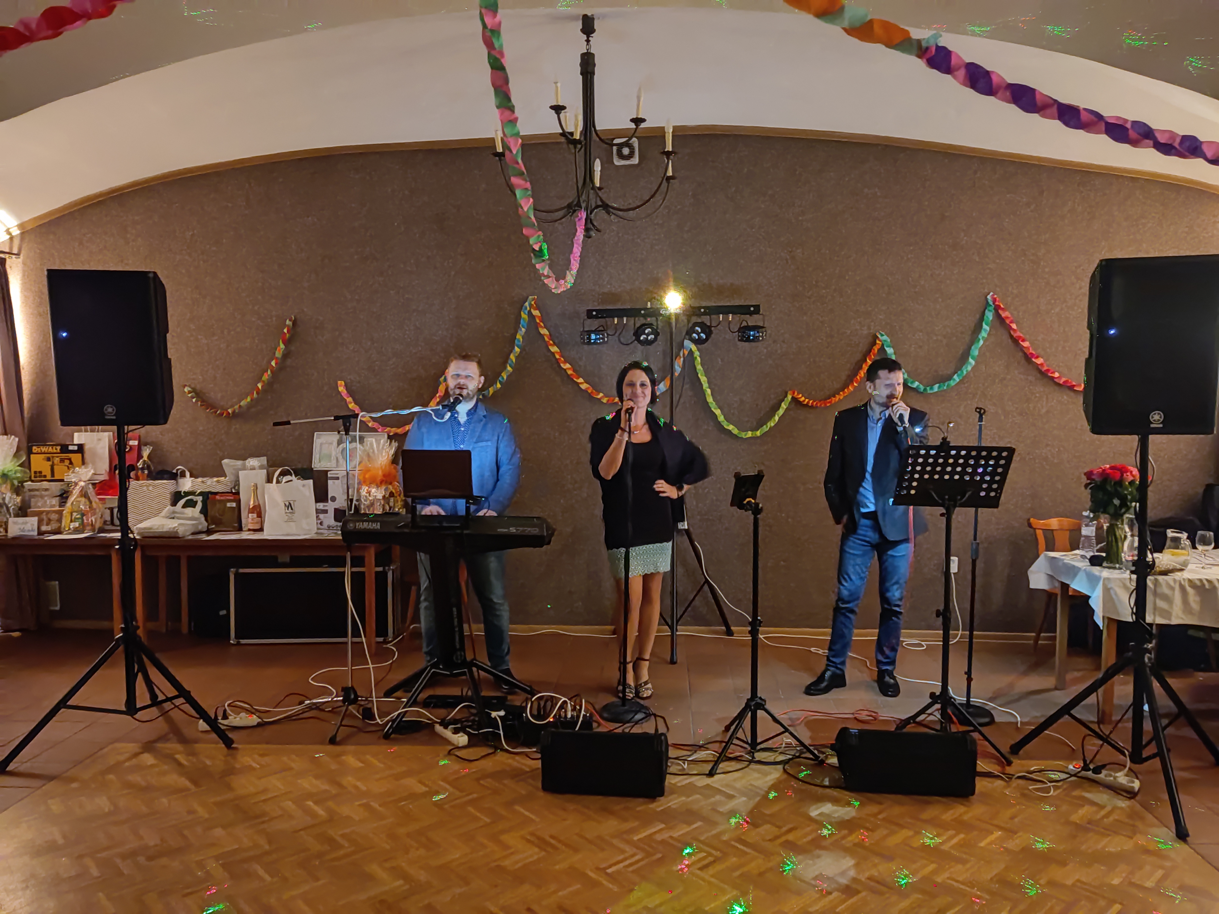 Hudební kapela MultiSins foto 4