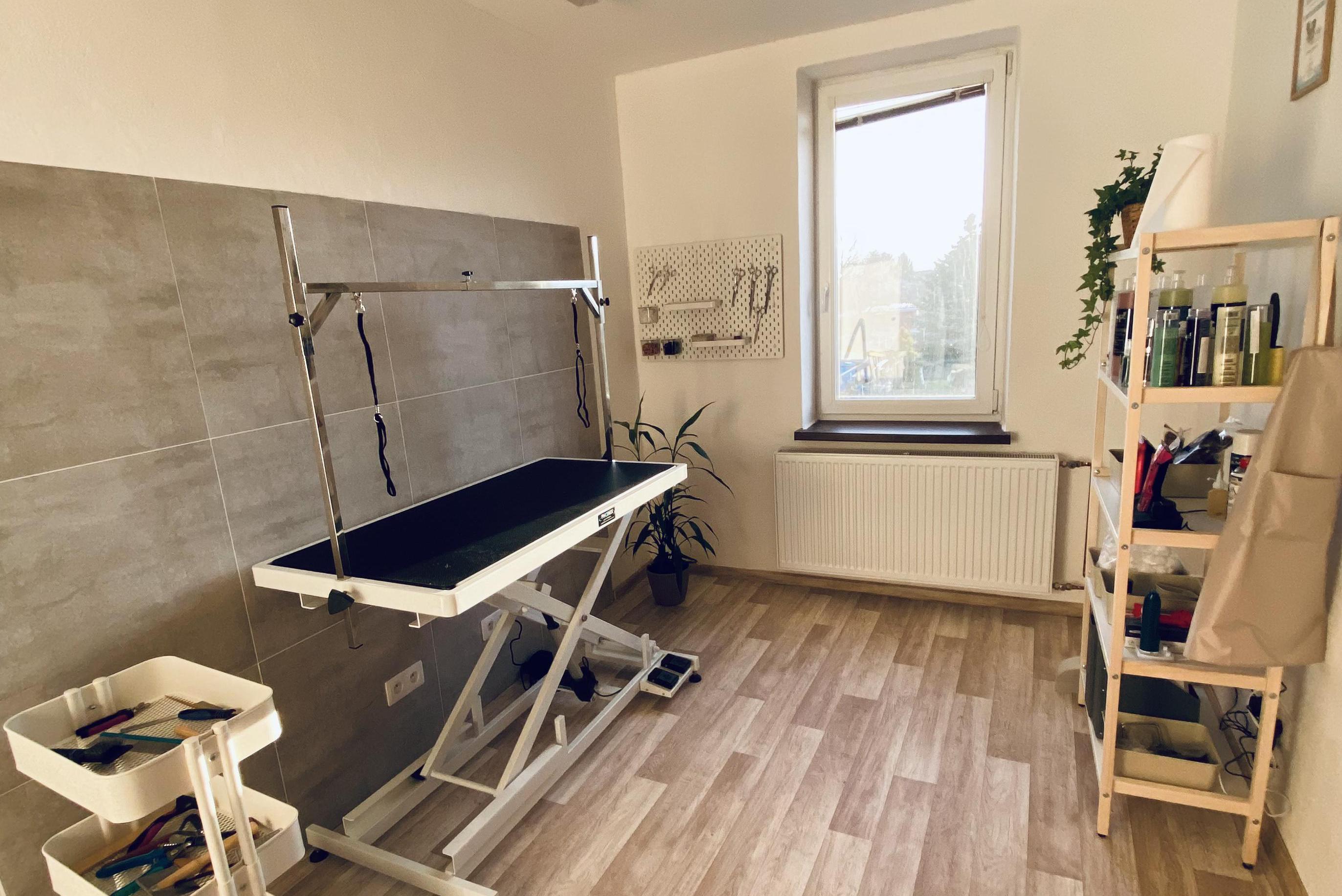 Stříhání psů Denisa Palacká