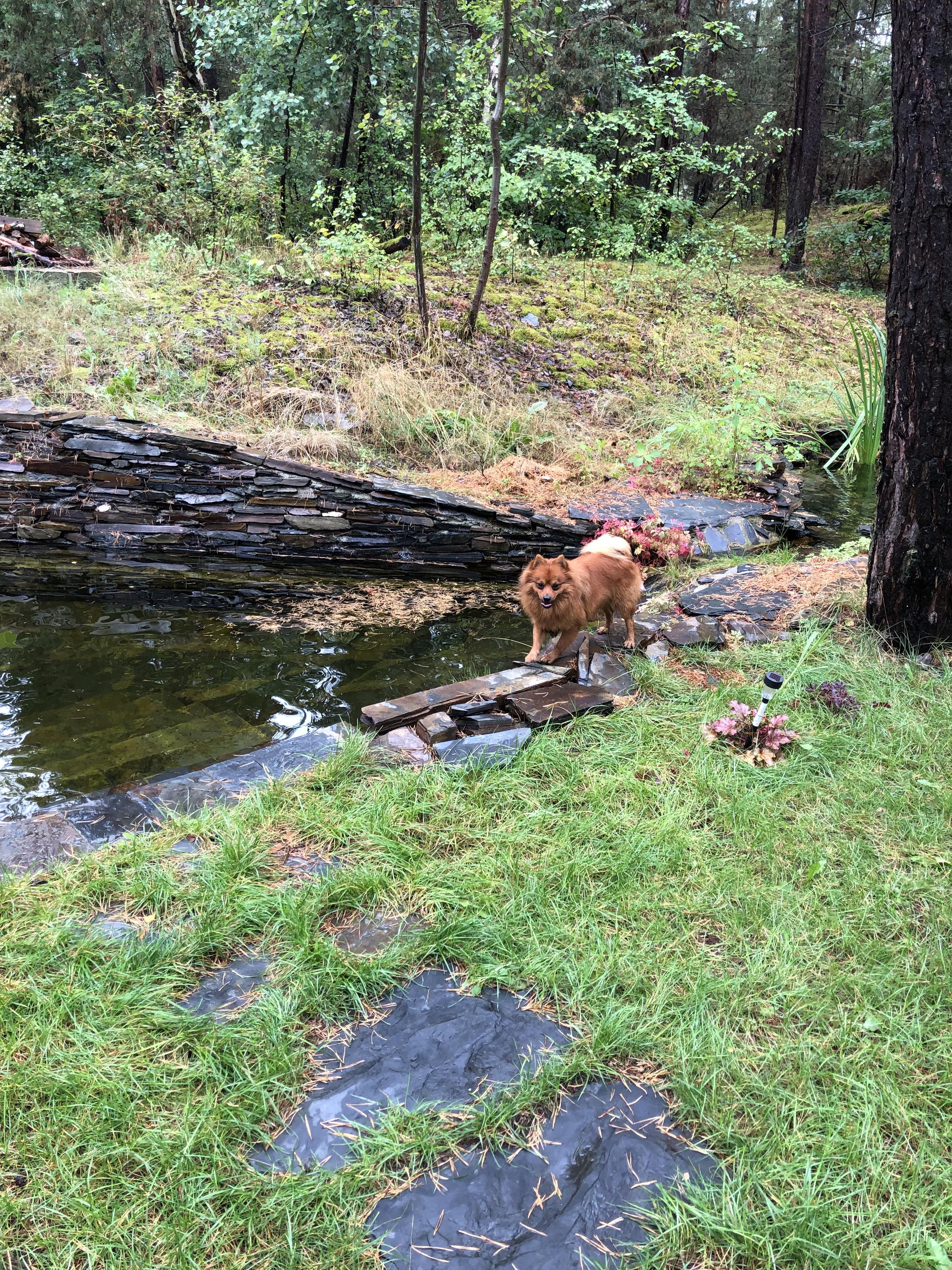 Chata Úplně v lese foto 2