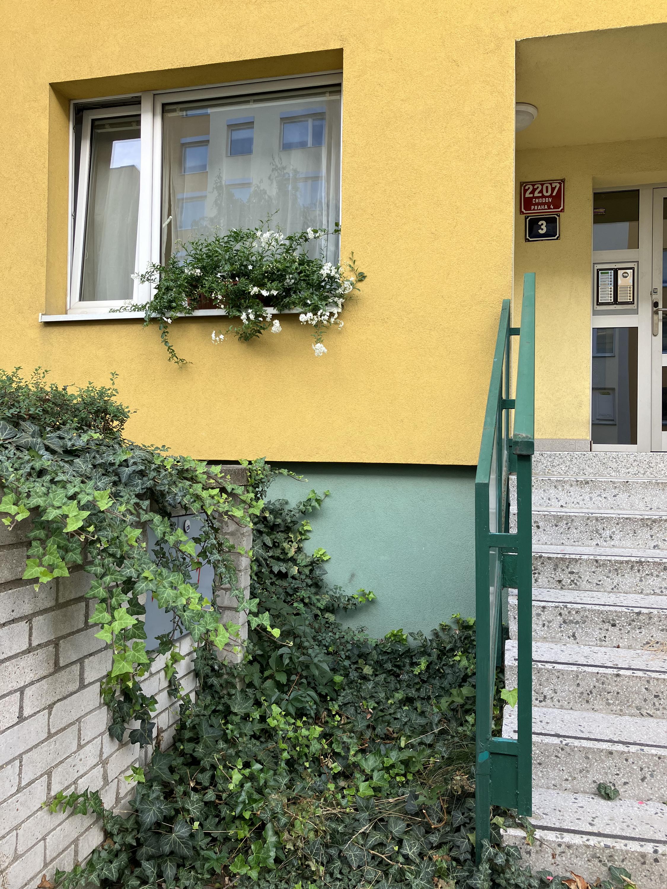 Psychoterapeutické poradenství - Mgr. Eva Petráková foto 3