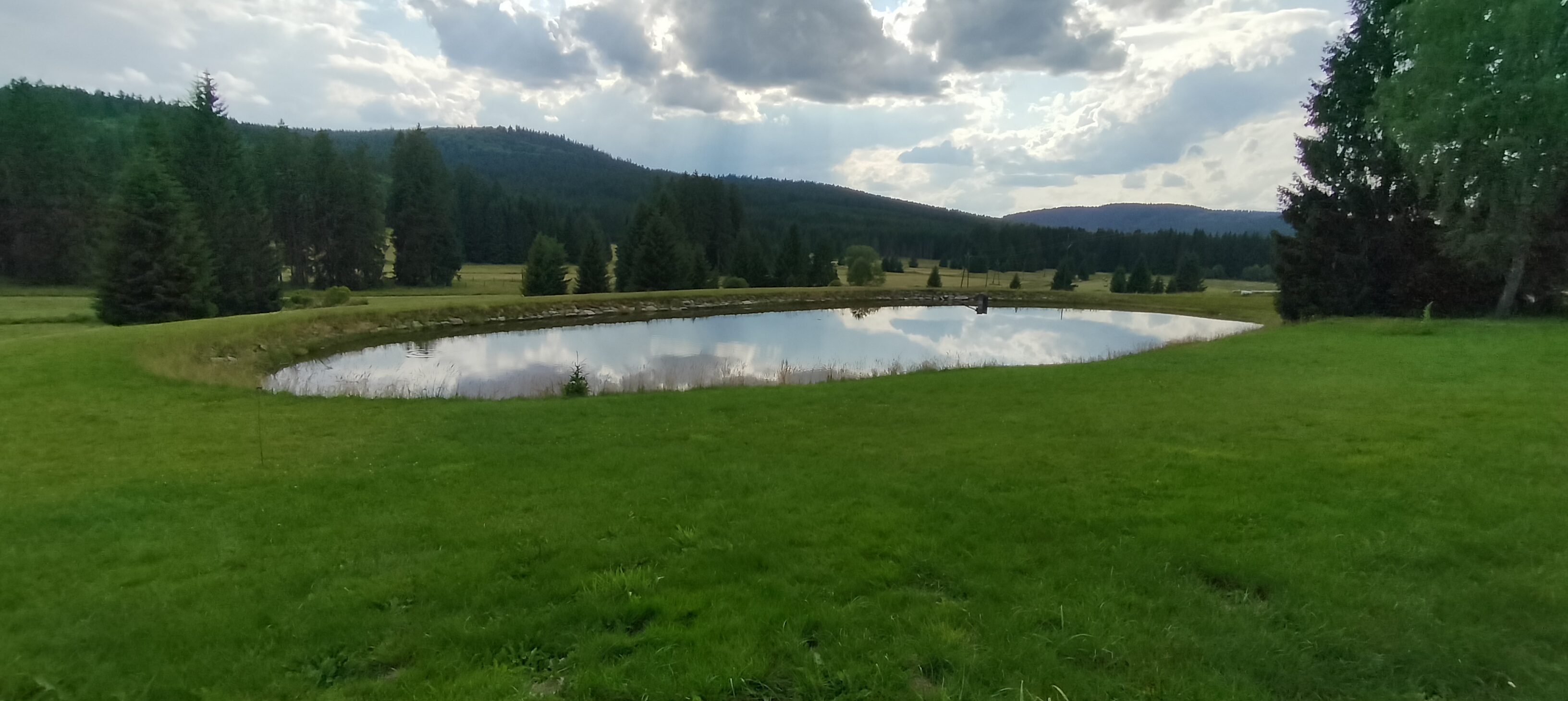 Restaurace Lesovna Žofín foto 6