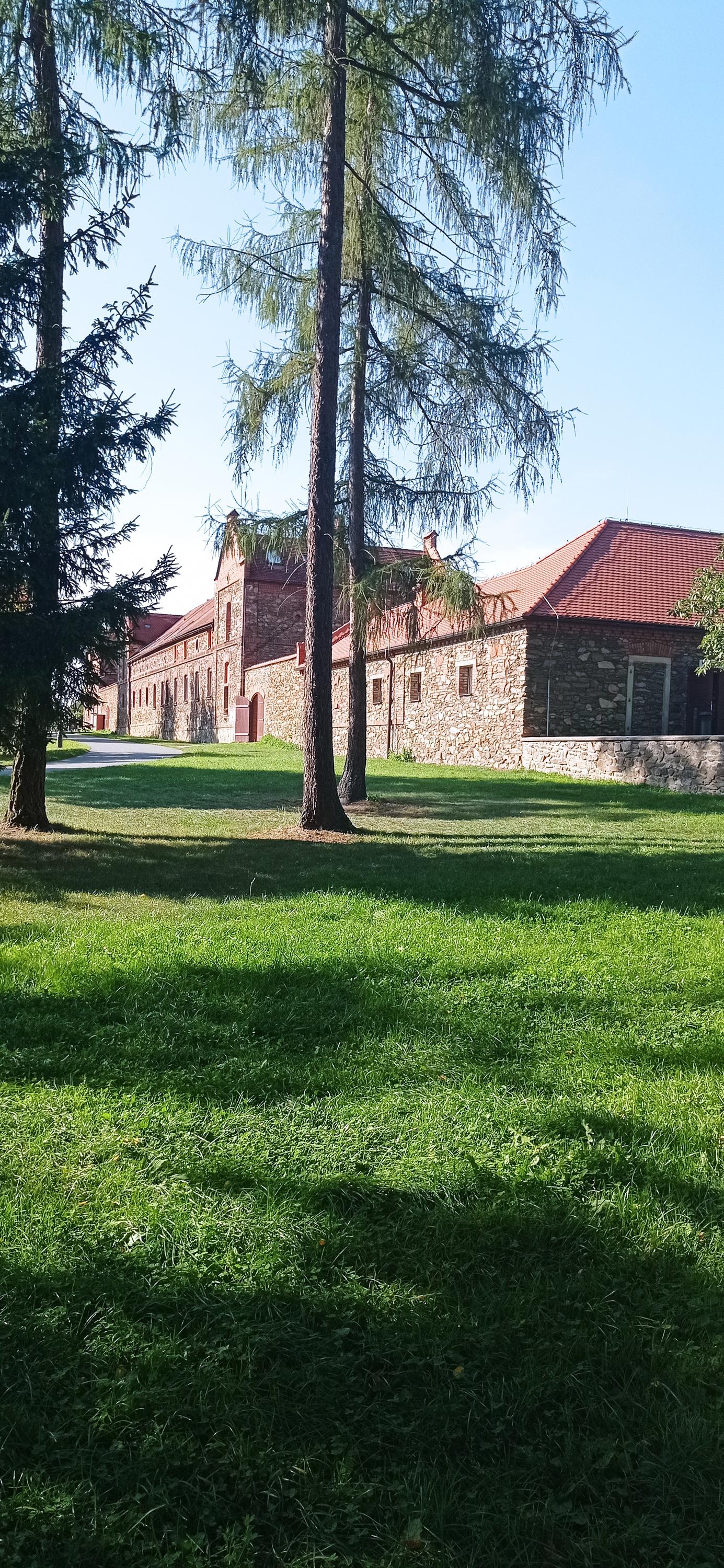 Veterinární ordinace - MVDr. Vít Cihlář foto 2