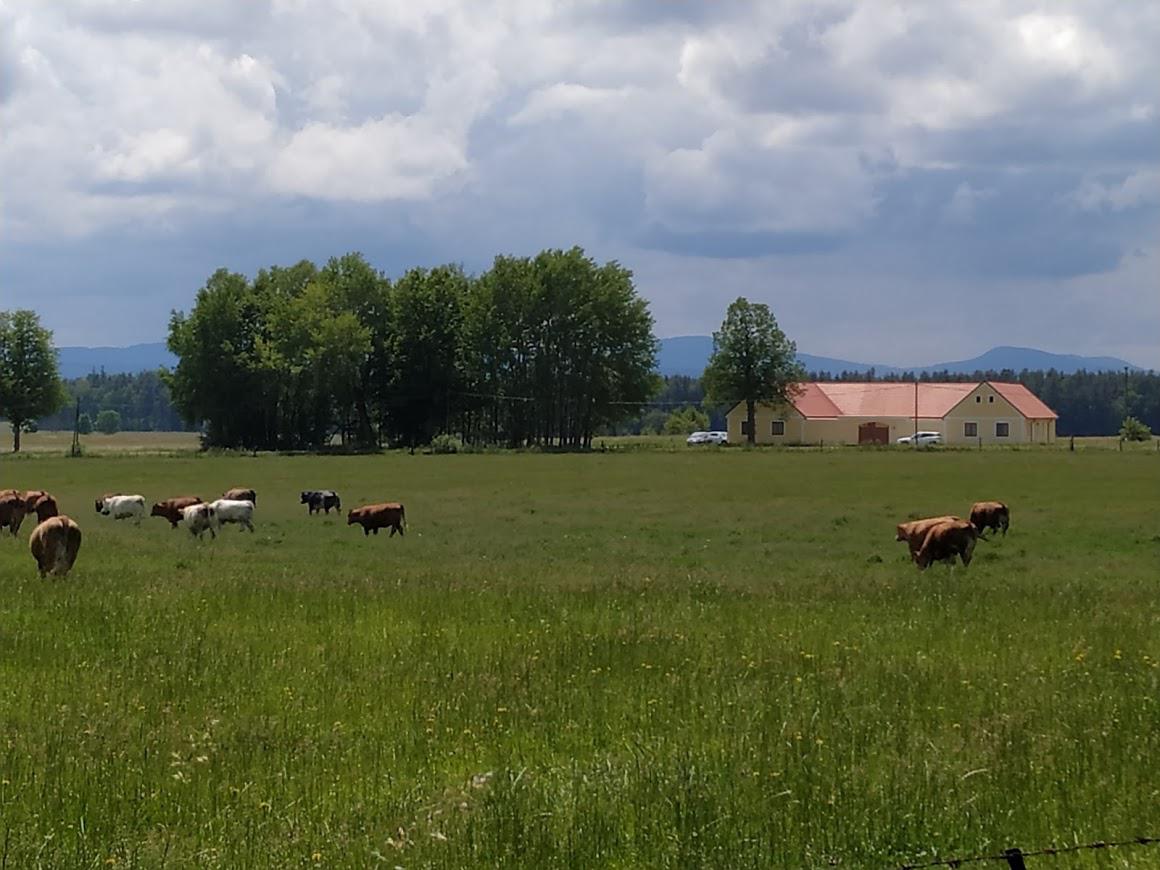 Statek Čtyřlístek foto 4