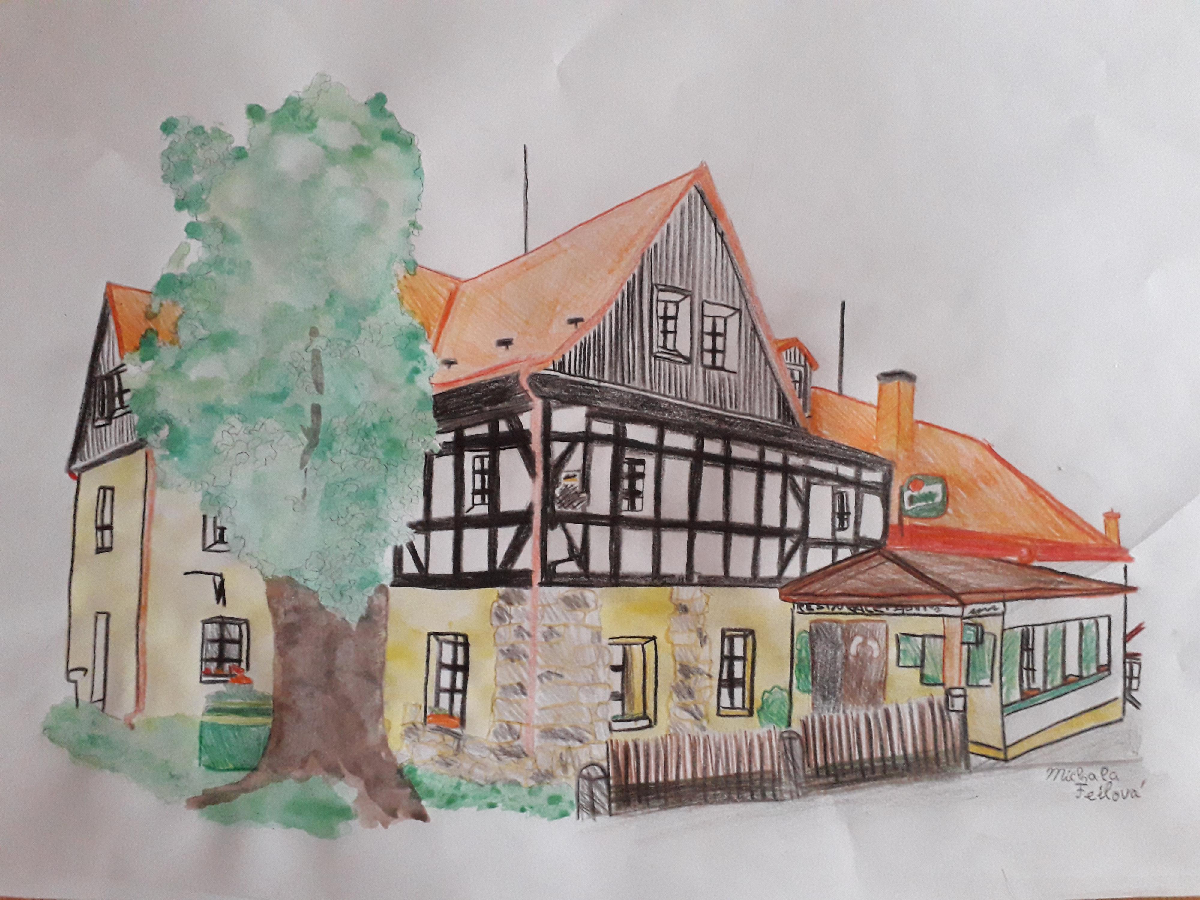 Hotel U Zeleného stromu v Janově nad Hřenskem foto 3