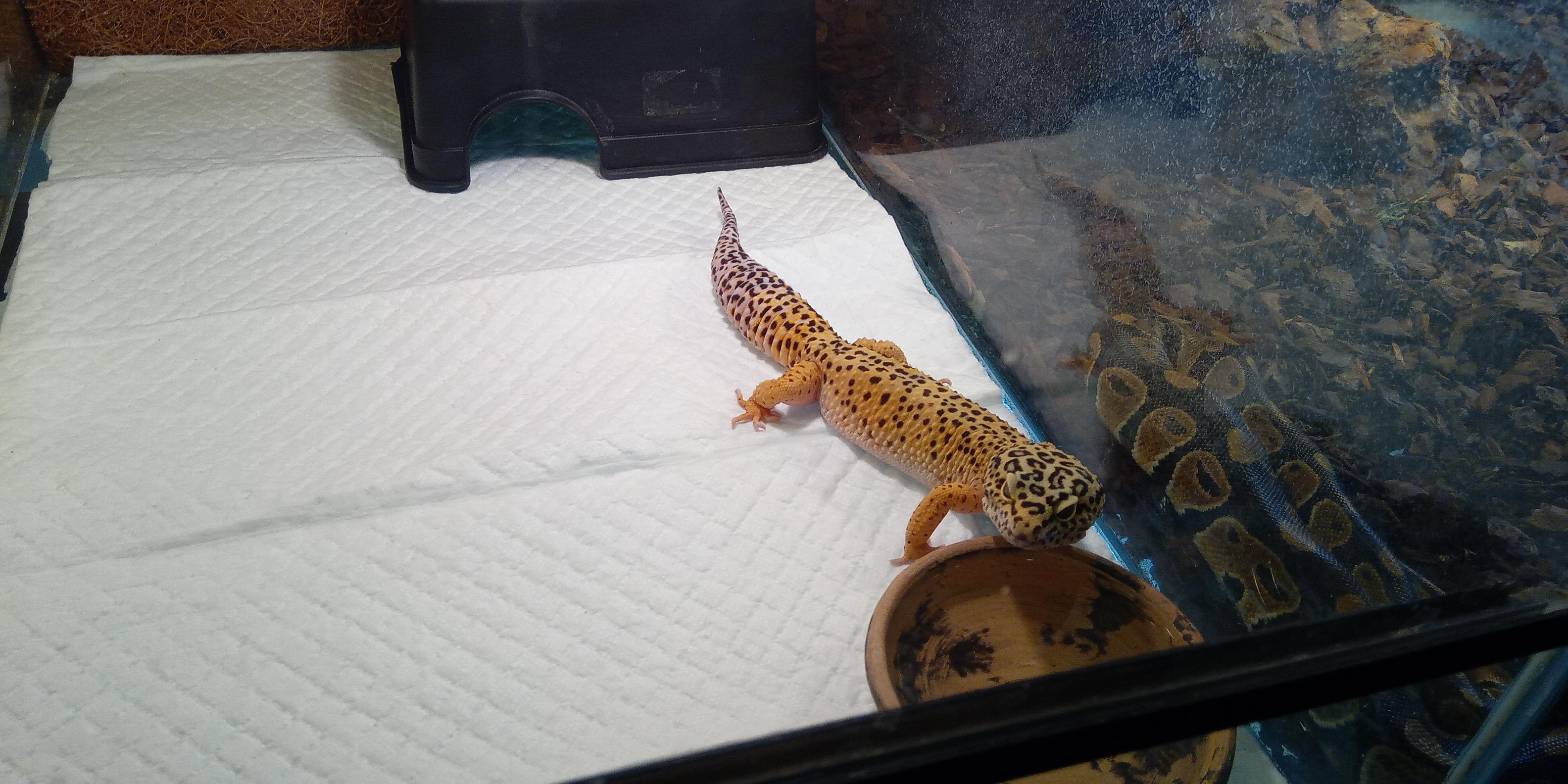 Akvárium Olbrecht foto 6