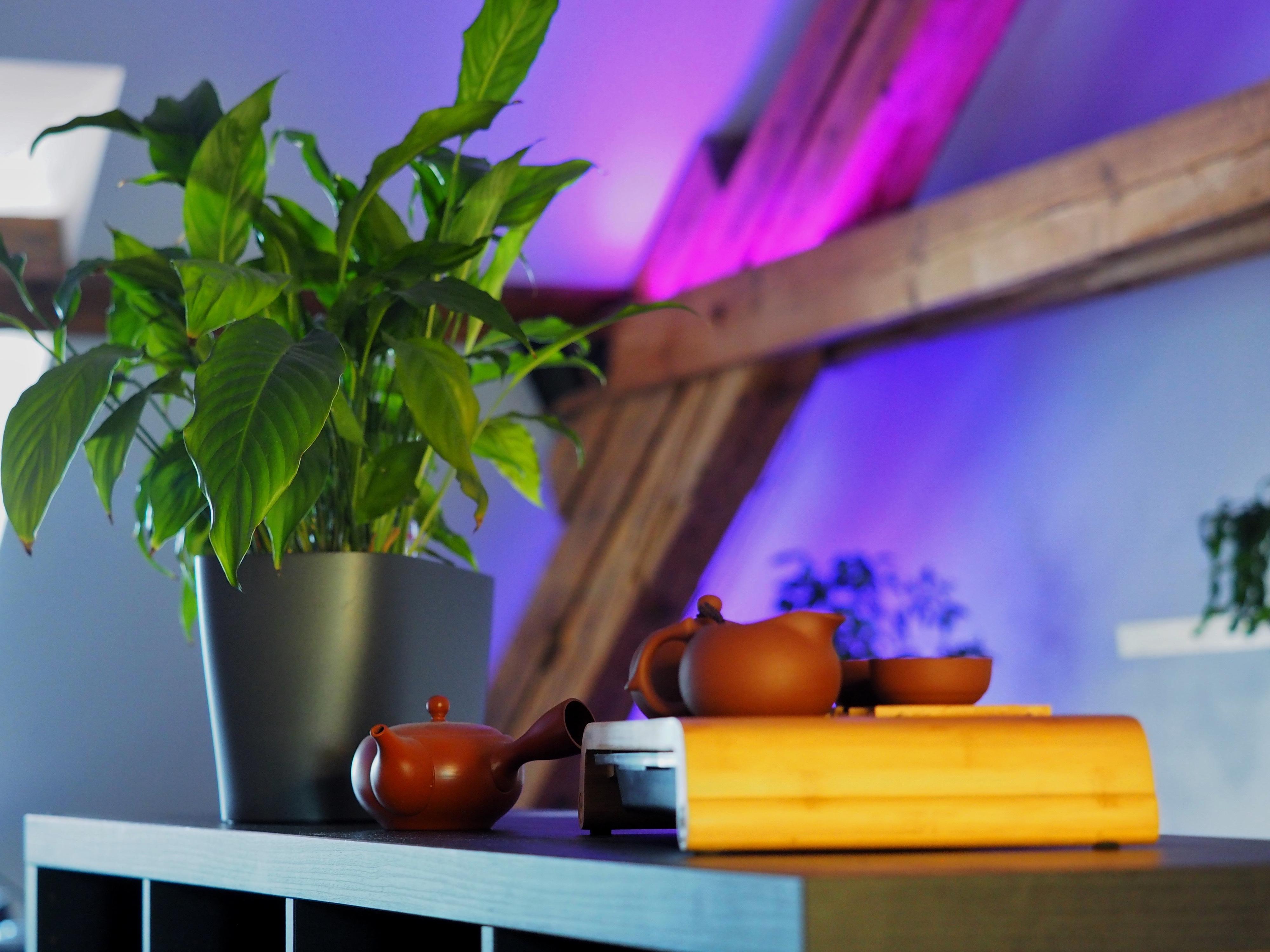 Anycoders - Marketing Agency foto 6