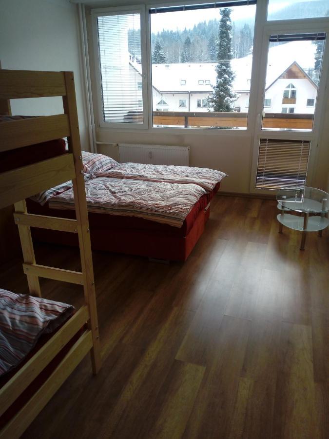 Apartmán Špičák foto 6