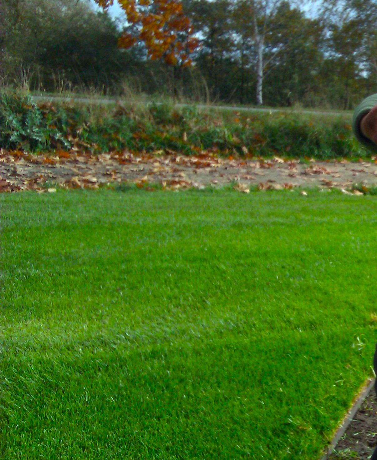 Travní koberce a zavlažovací systémy foto 2