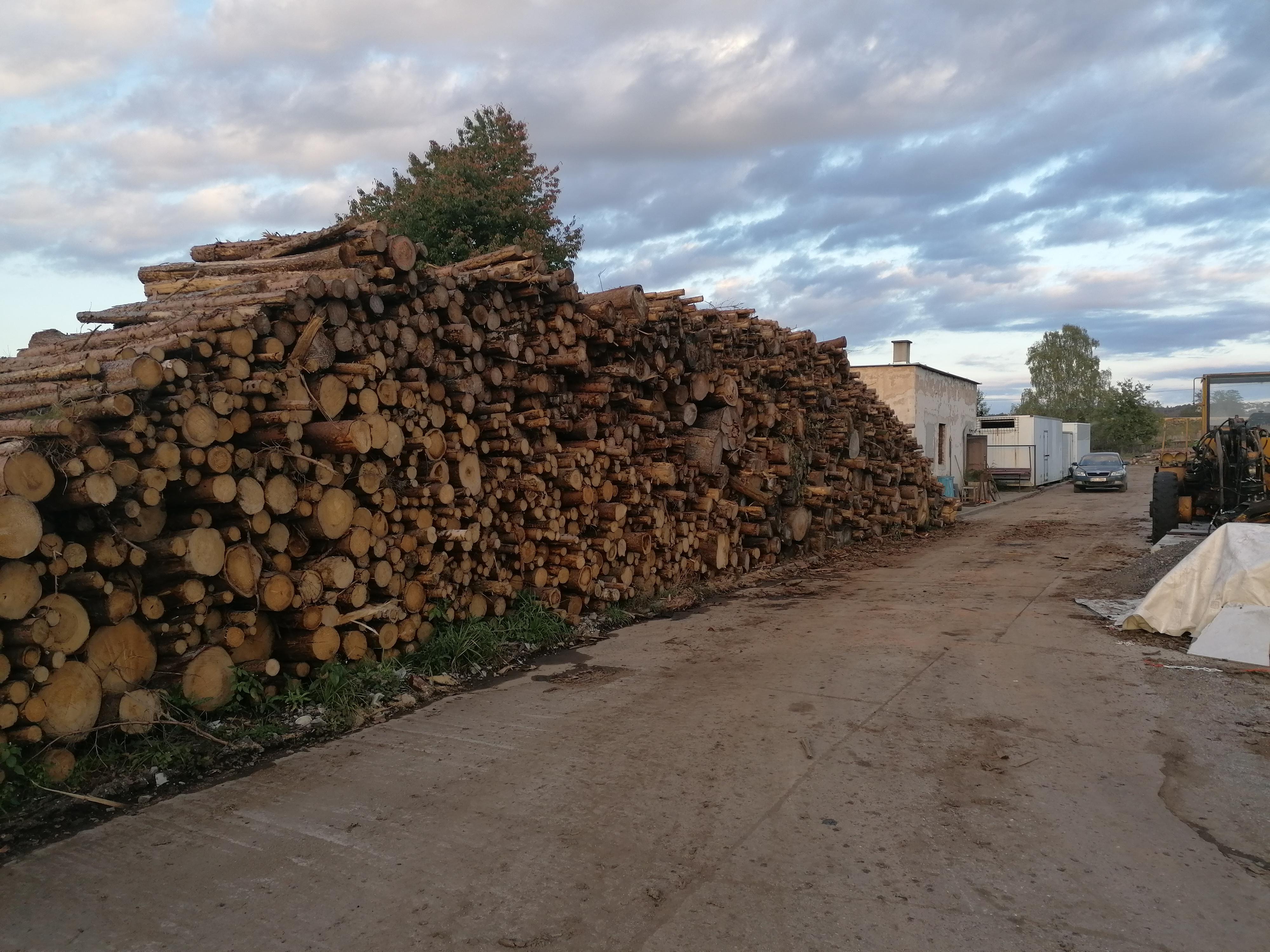 PALIVOVÉ DŘÍVÍ - Ing. Jan Mrázek foto 3