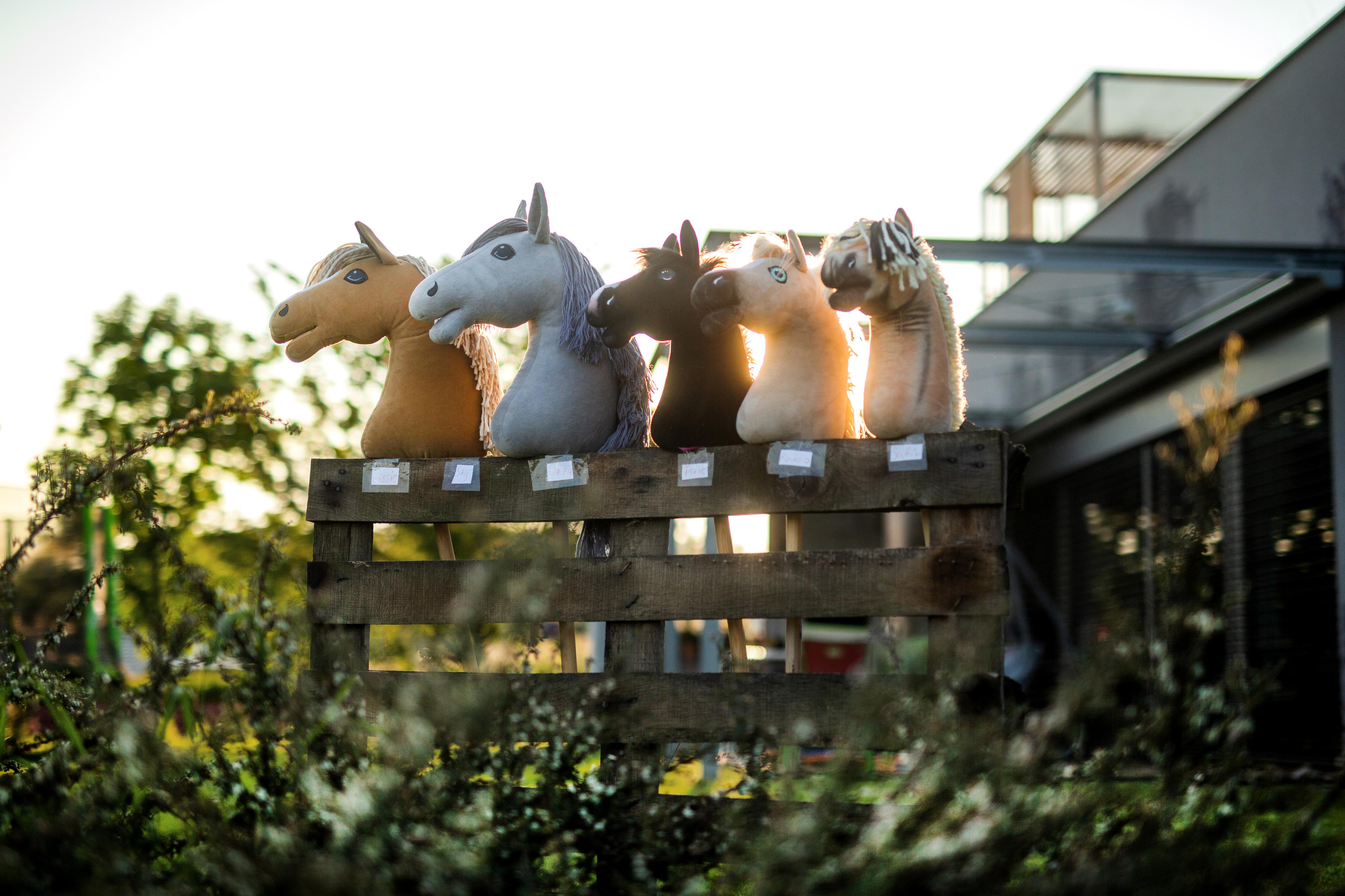 Hobby Horse LarDen foto 4