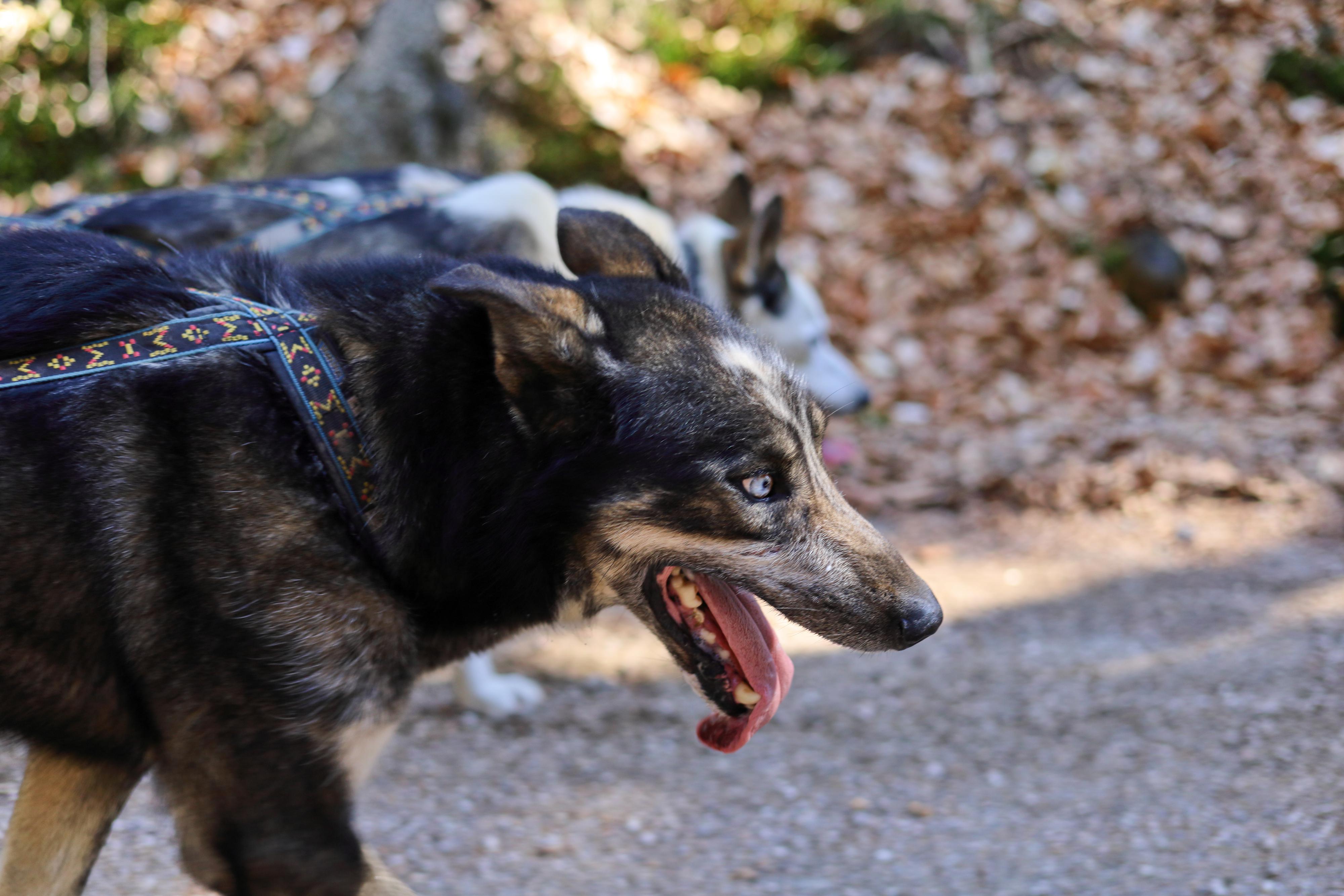 Rodney Scott Lovette foto 4