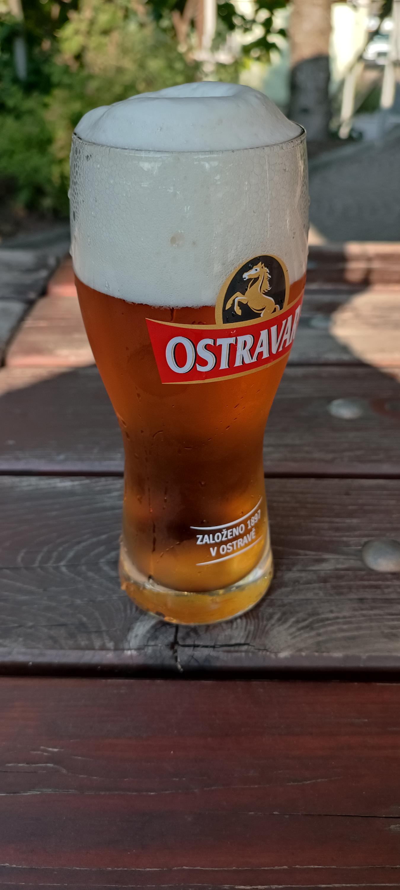 Vietnamsko-thajská restaurace An foto 2