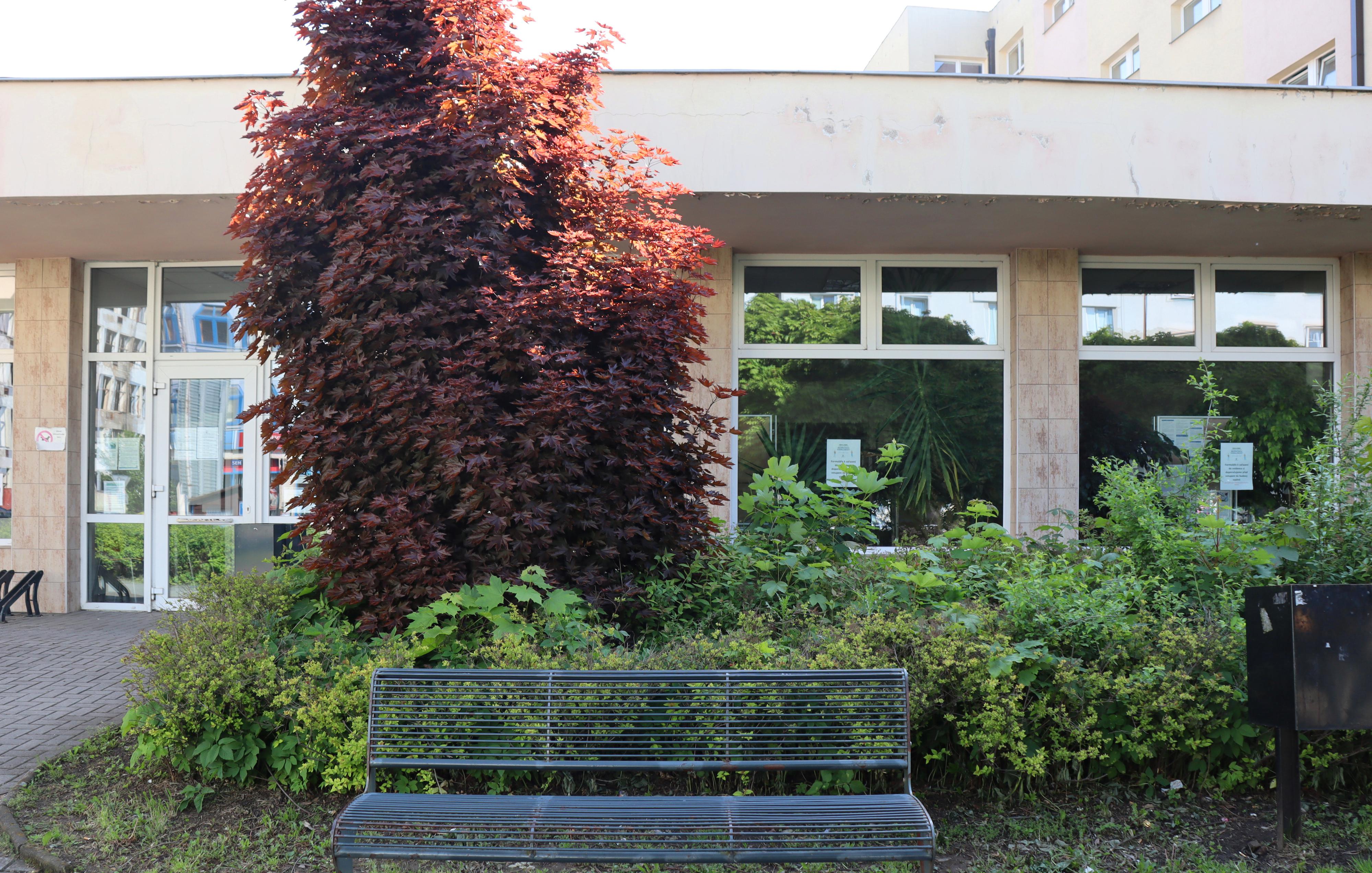 Státní úřad inspekce práce