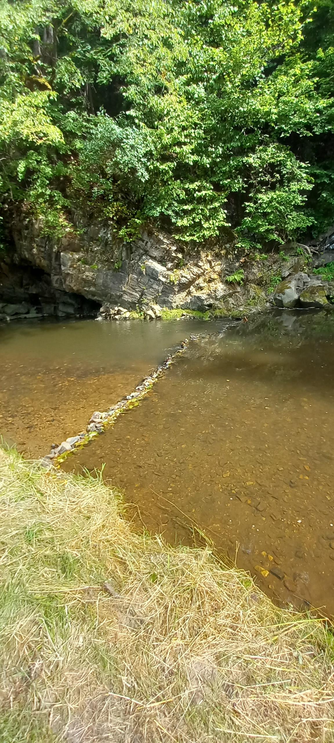 Camping Fox Český Krumlov foto 3