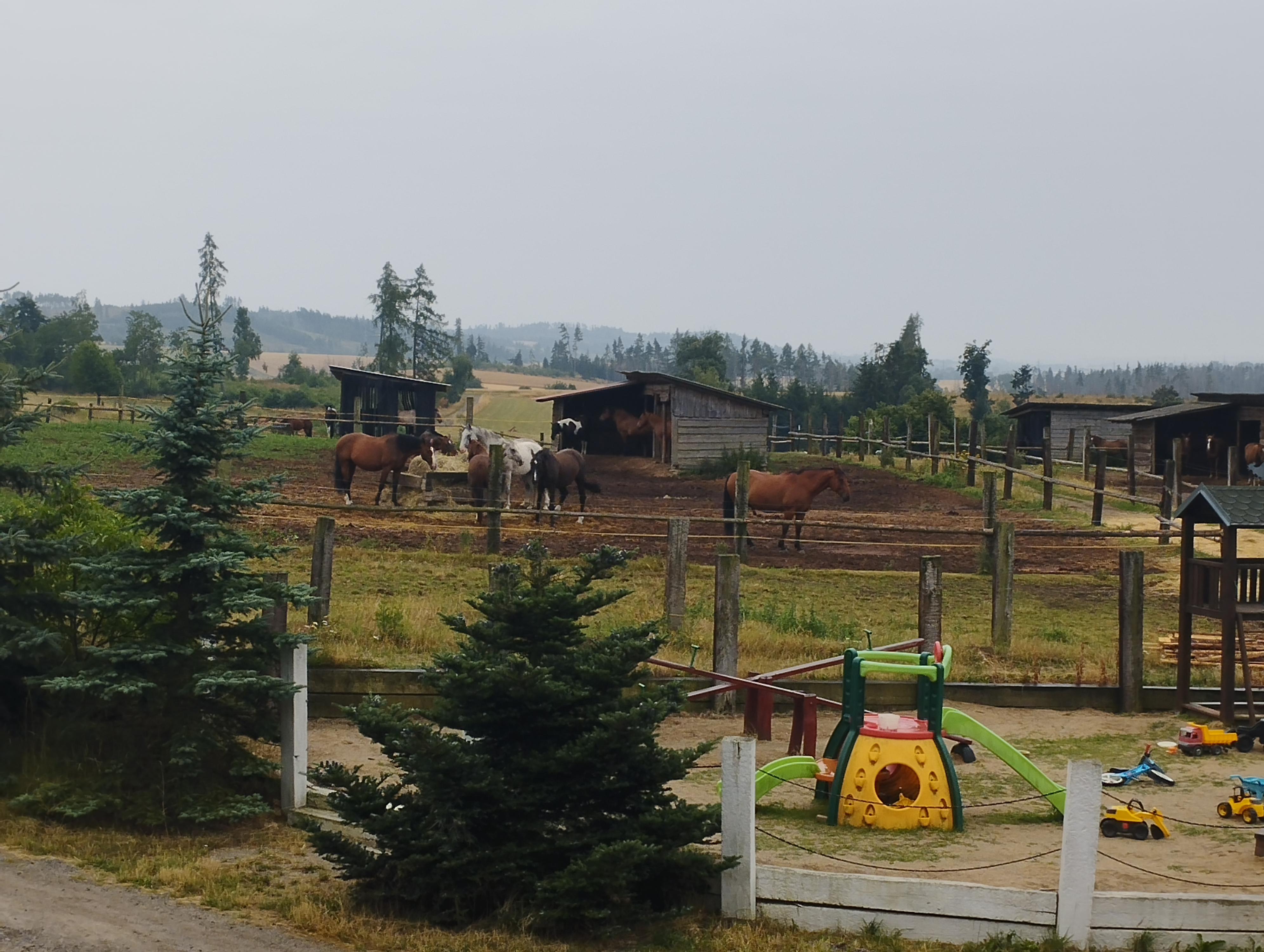 Q Ranch