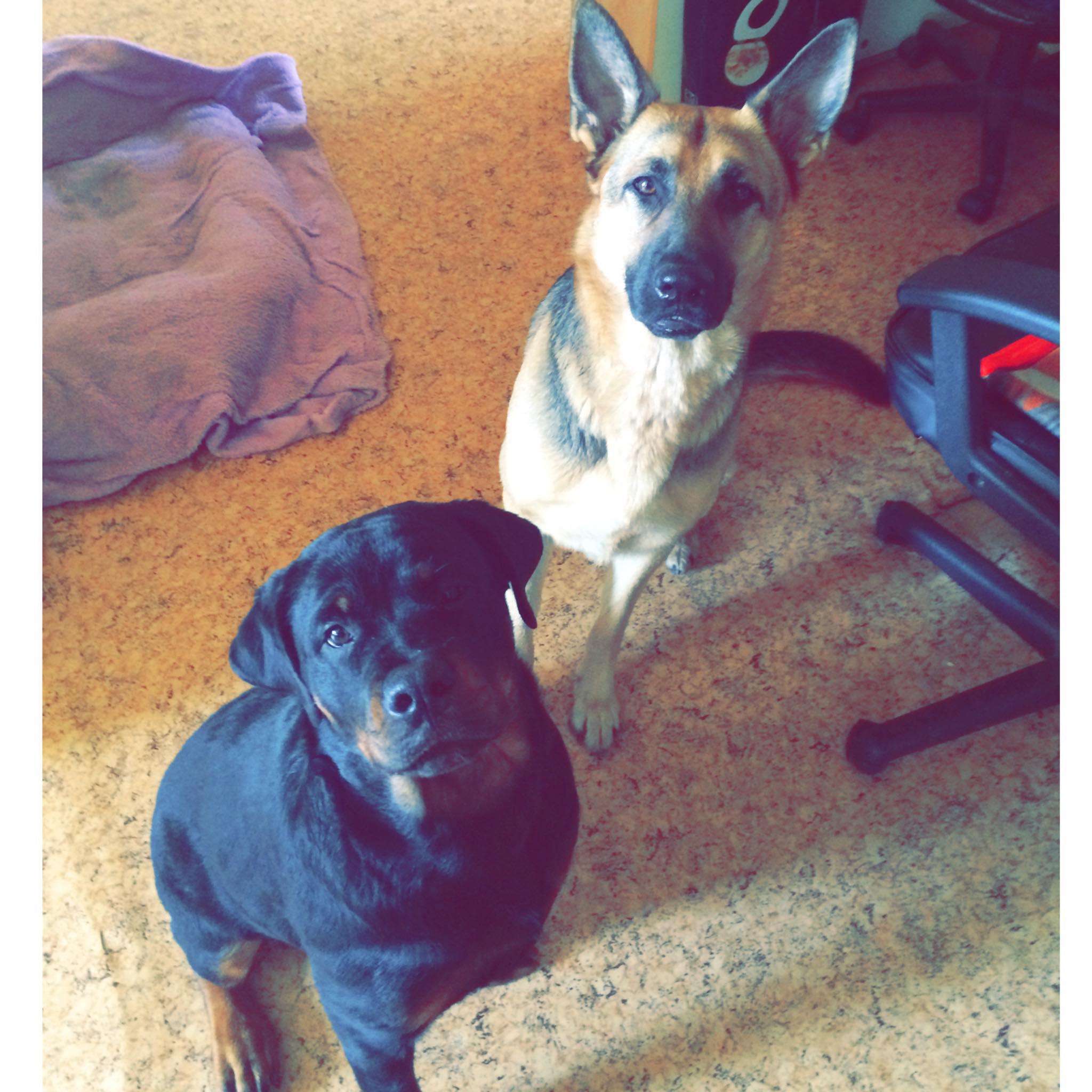 VEDILAB, spol. s r.o. foto 5