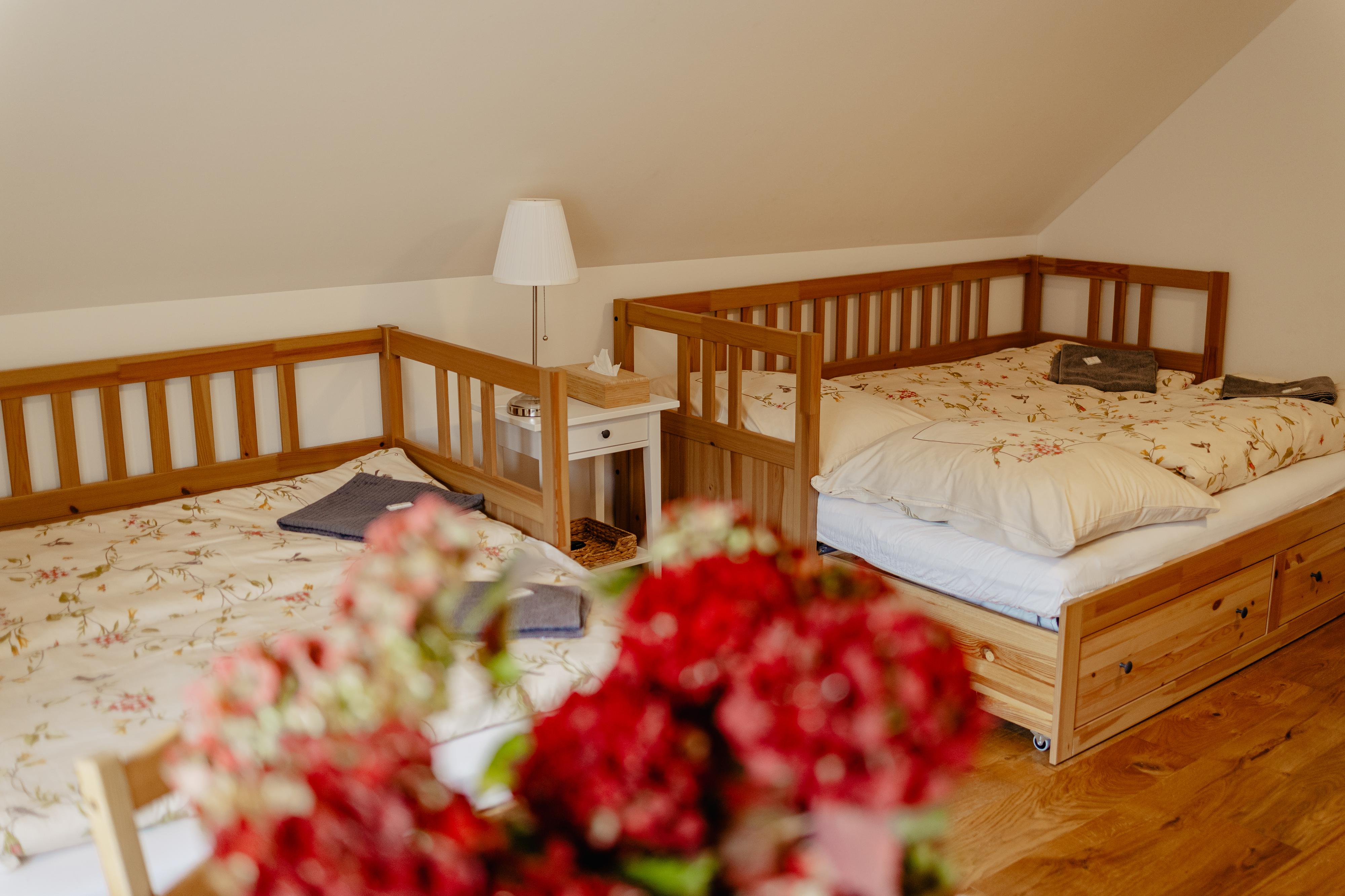 Rokytnice Slunečná foto 6