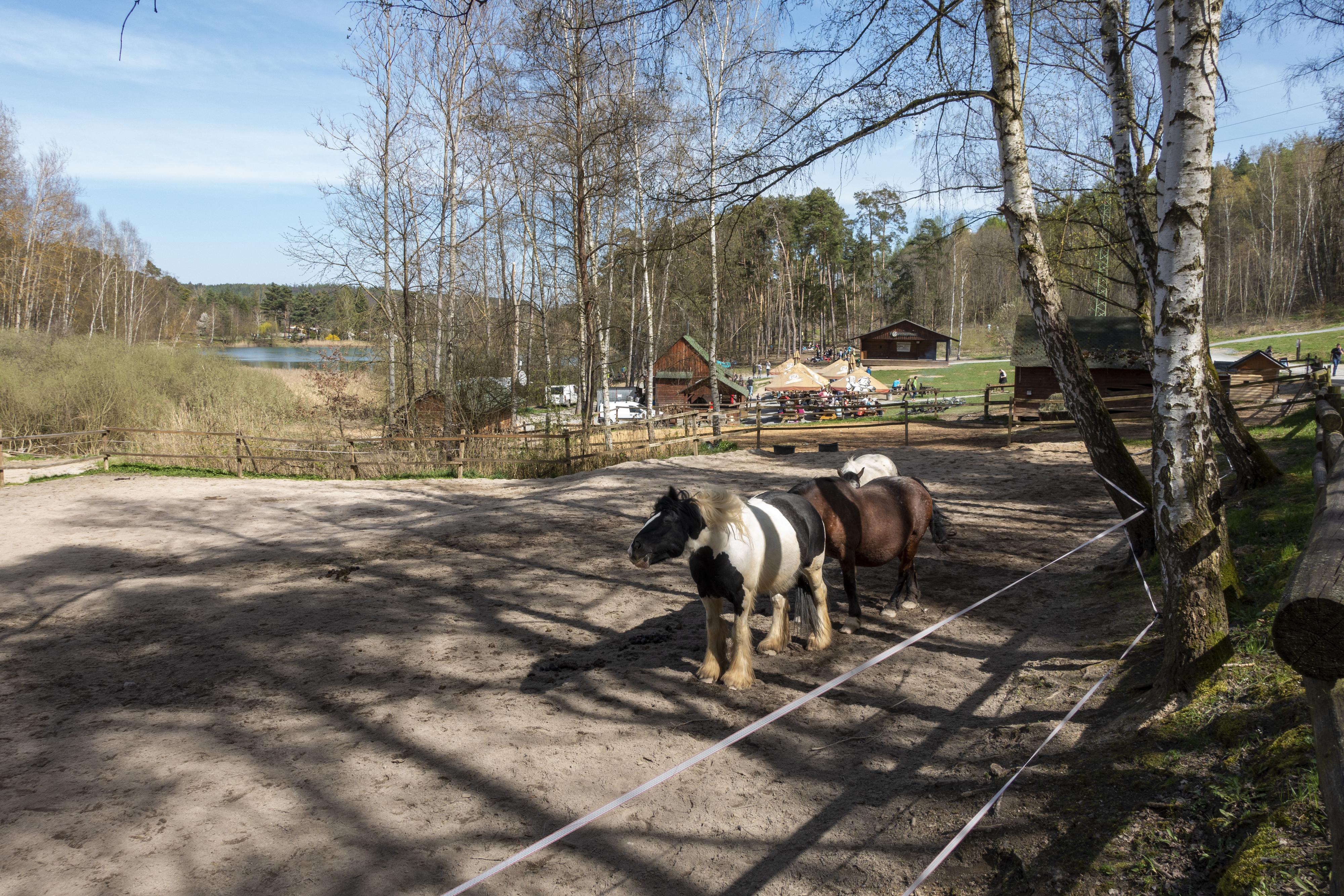 Ranč Šídlovák foto 6