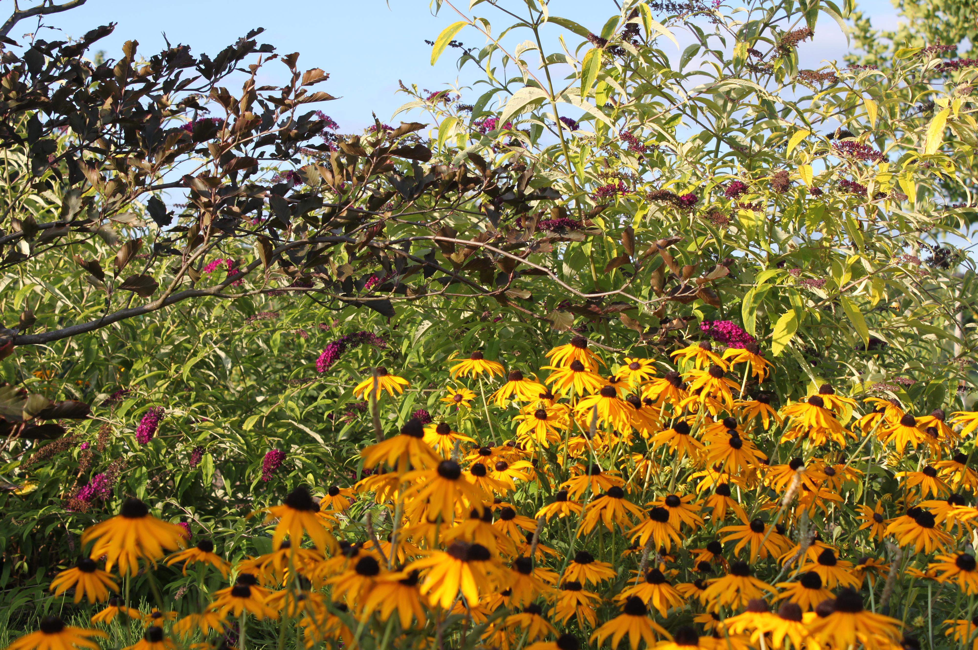 KMV - Zahradnické kurzy