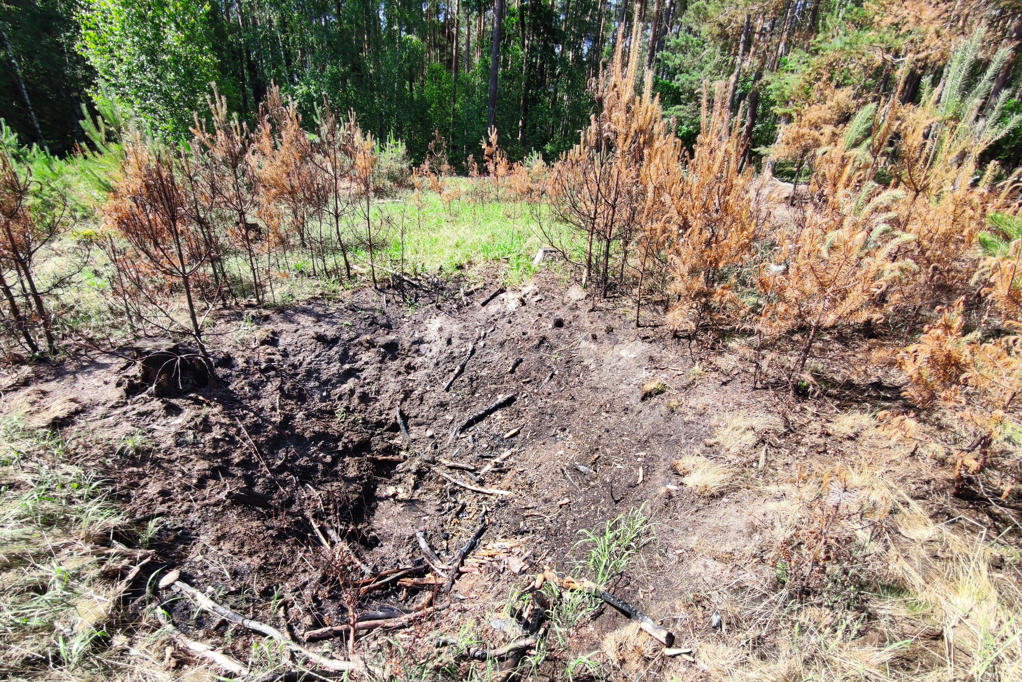 Výpočet škod na lesním porostu
