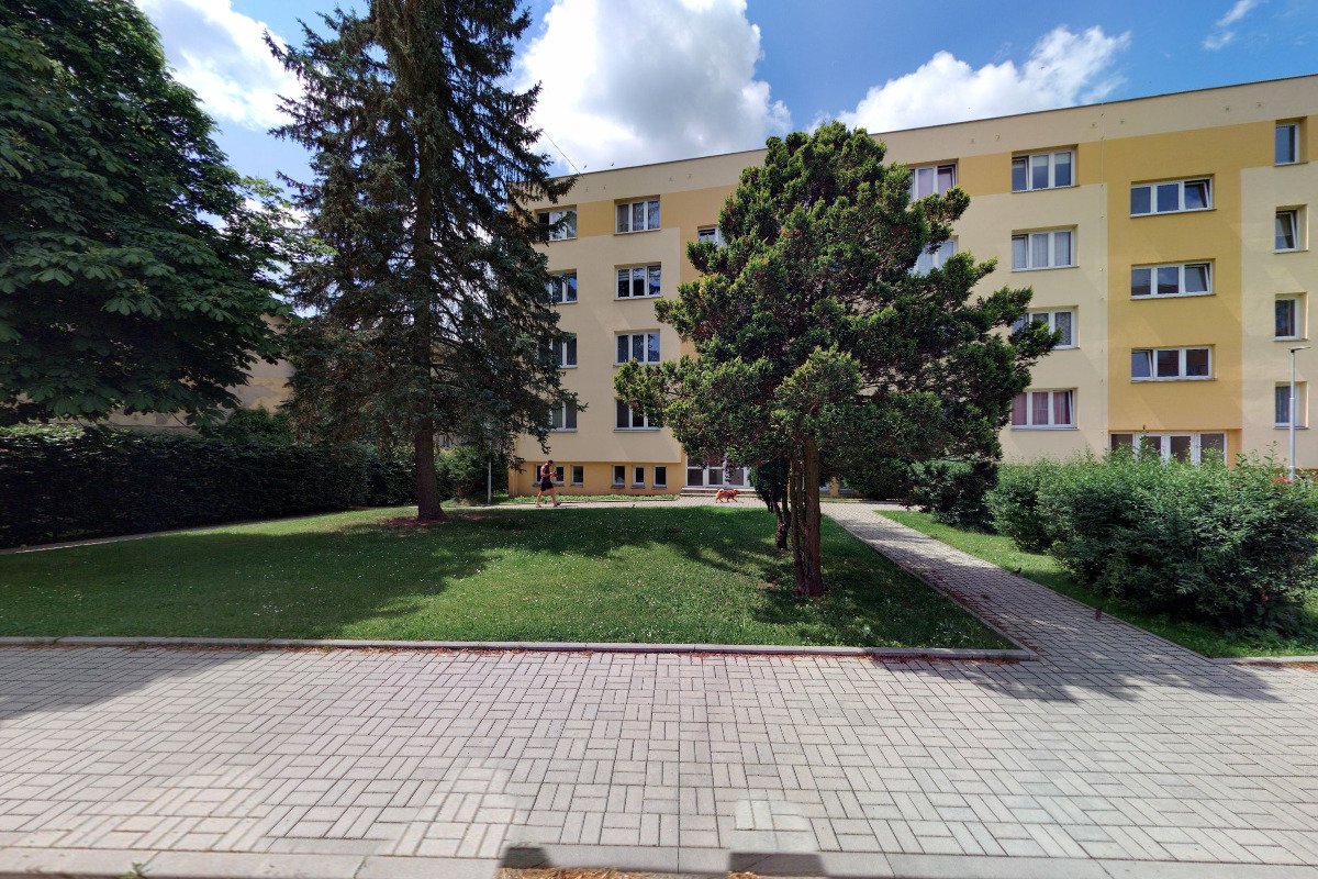 Prodej medu a chov včel David Štěpánek foto 3