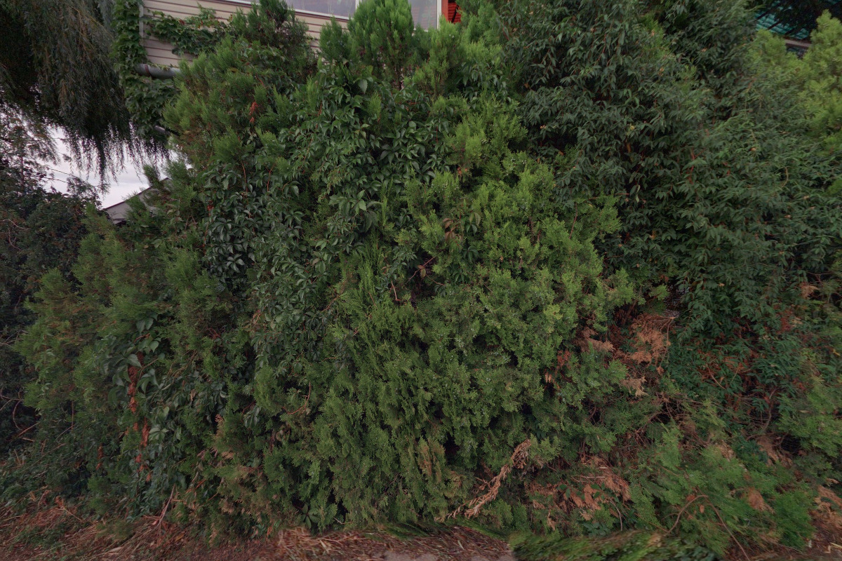 Ubytování Sportovní 317