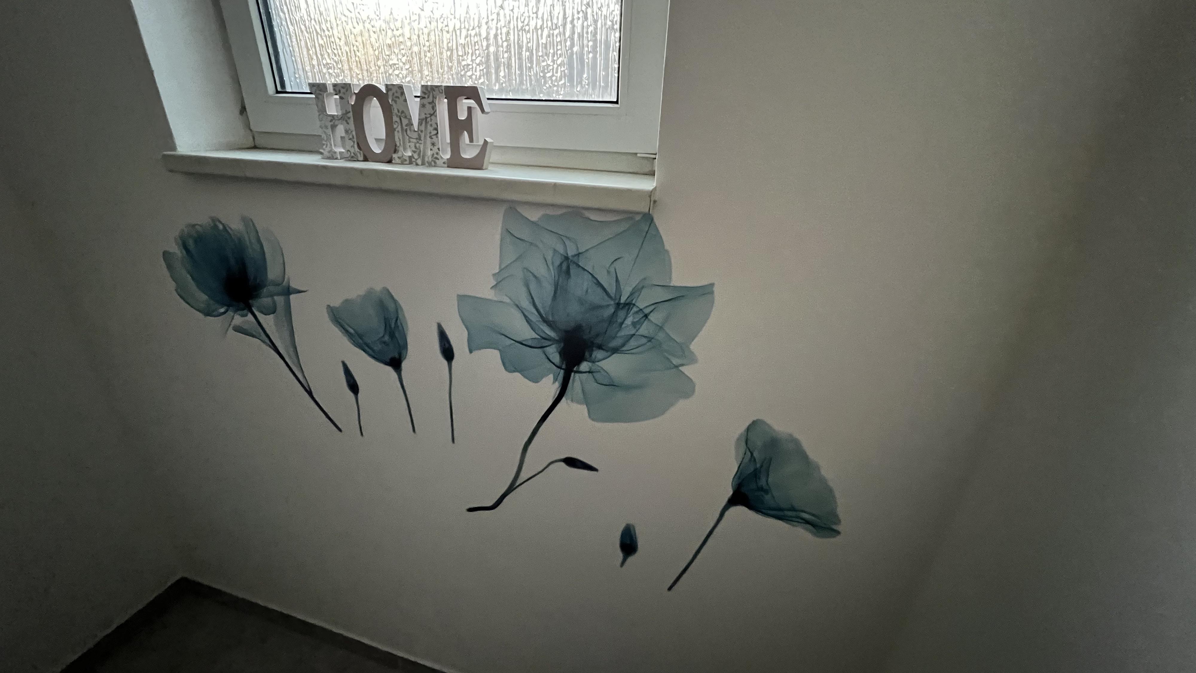 Kouzelné stáří - Pečovatelský dům foto 6