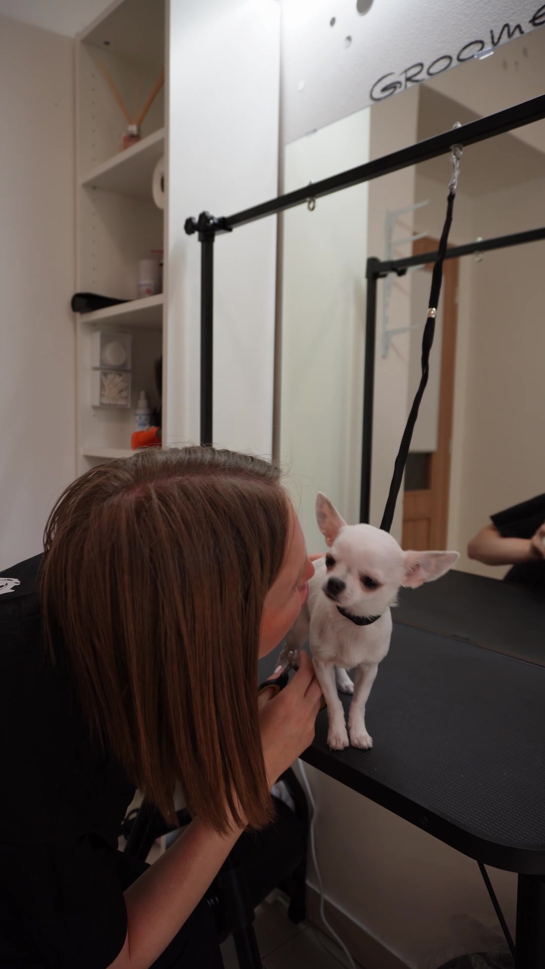 Grooming Salon Pípi foto 2 (náhled videa)