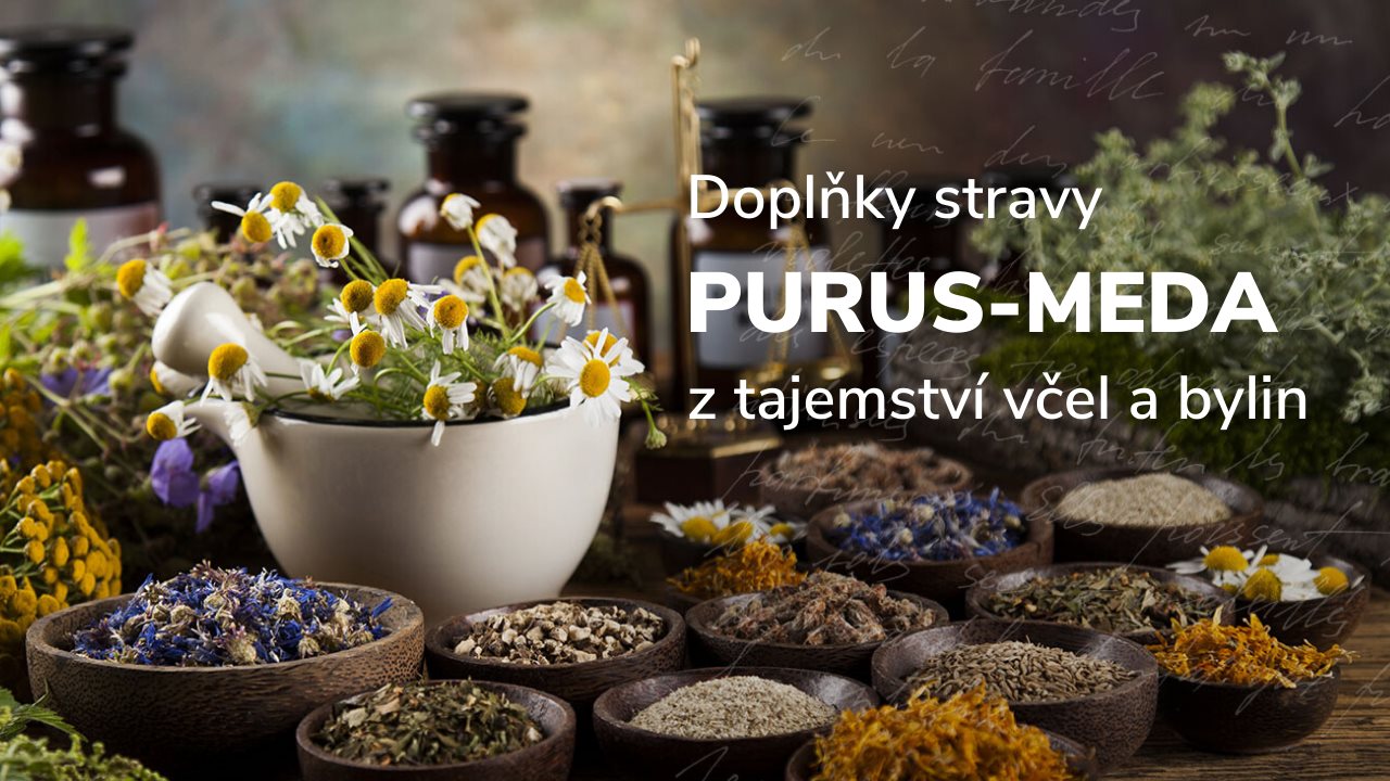 Purusmeda.cz foto 4