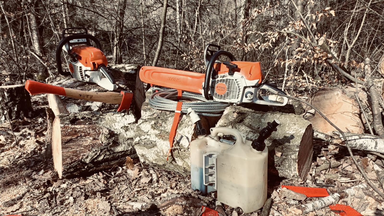 ARBEX - Prořezy a rizikové kácení stromů foto 5