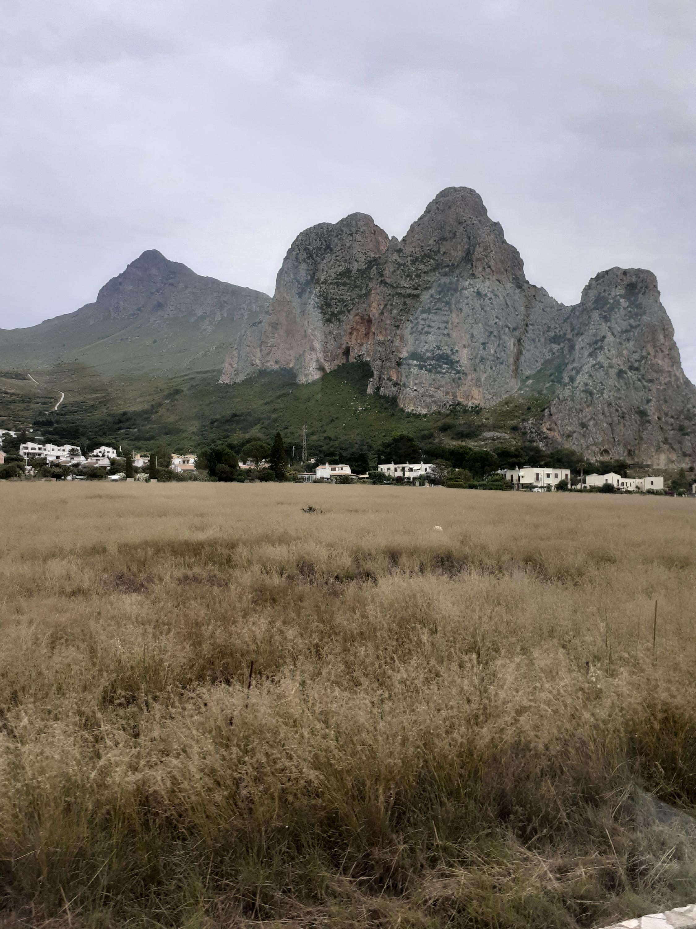 Delfín travel, s.r.o. foto 6