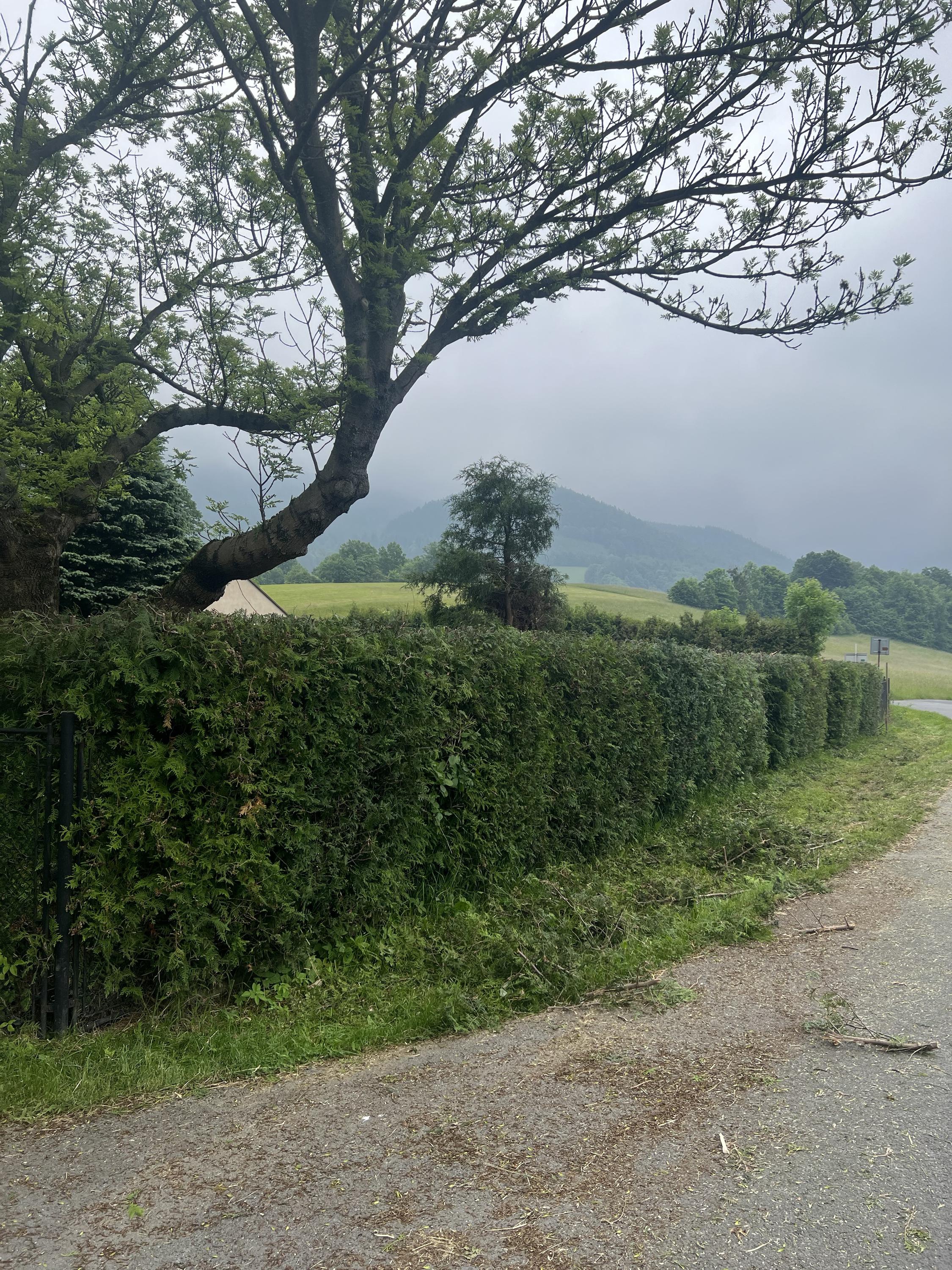 Služby z Moravy foto 6