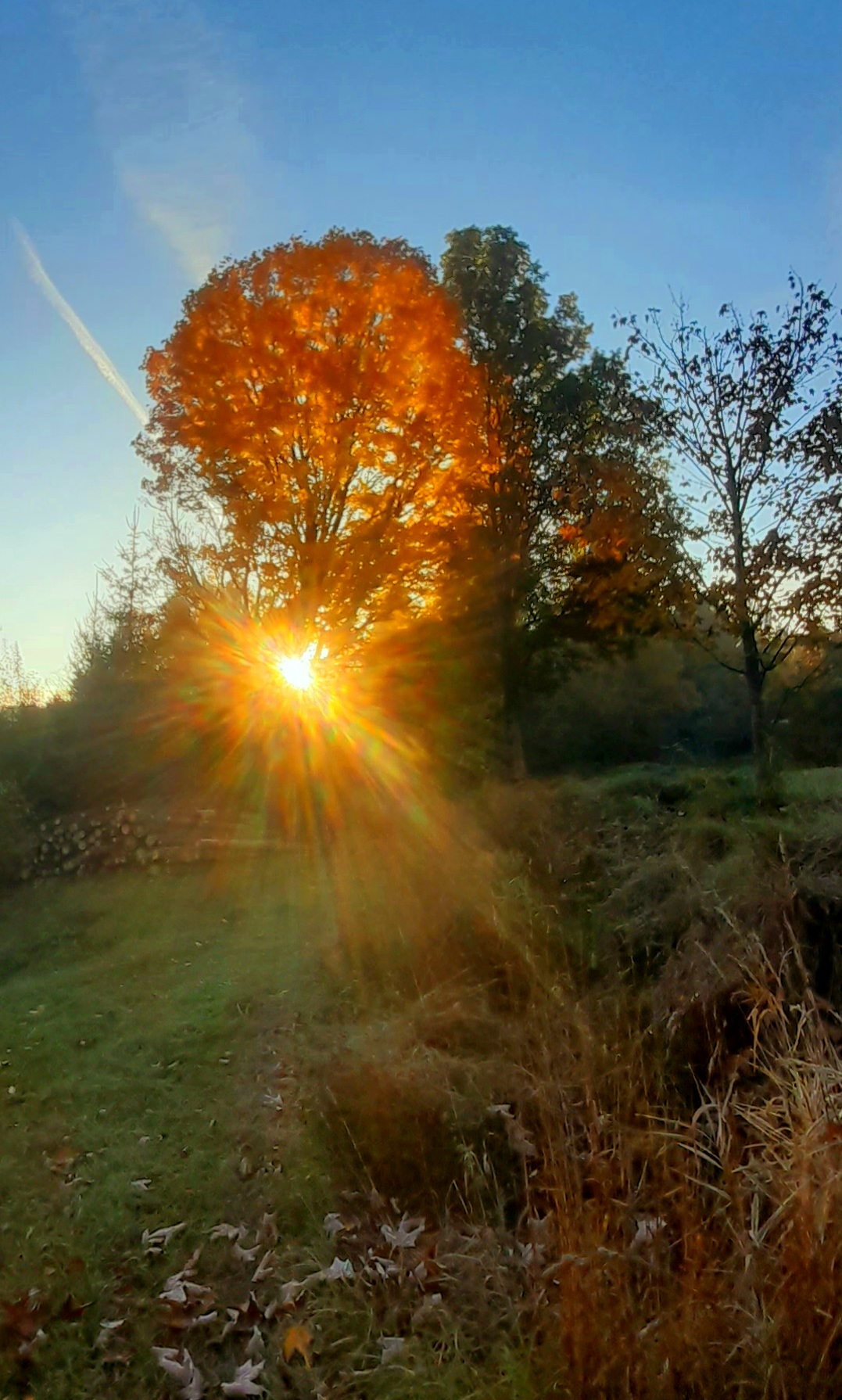 Penzion u Dračí Skály foto 4