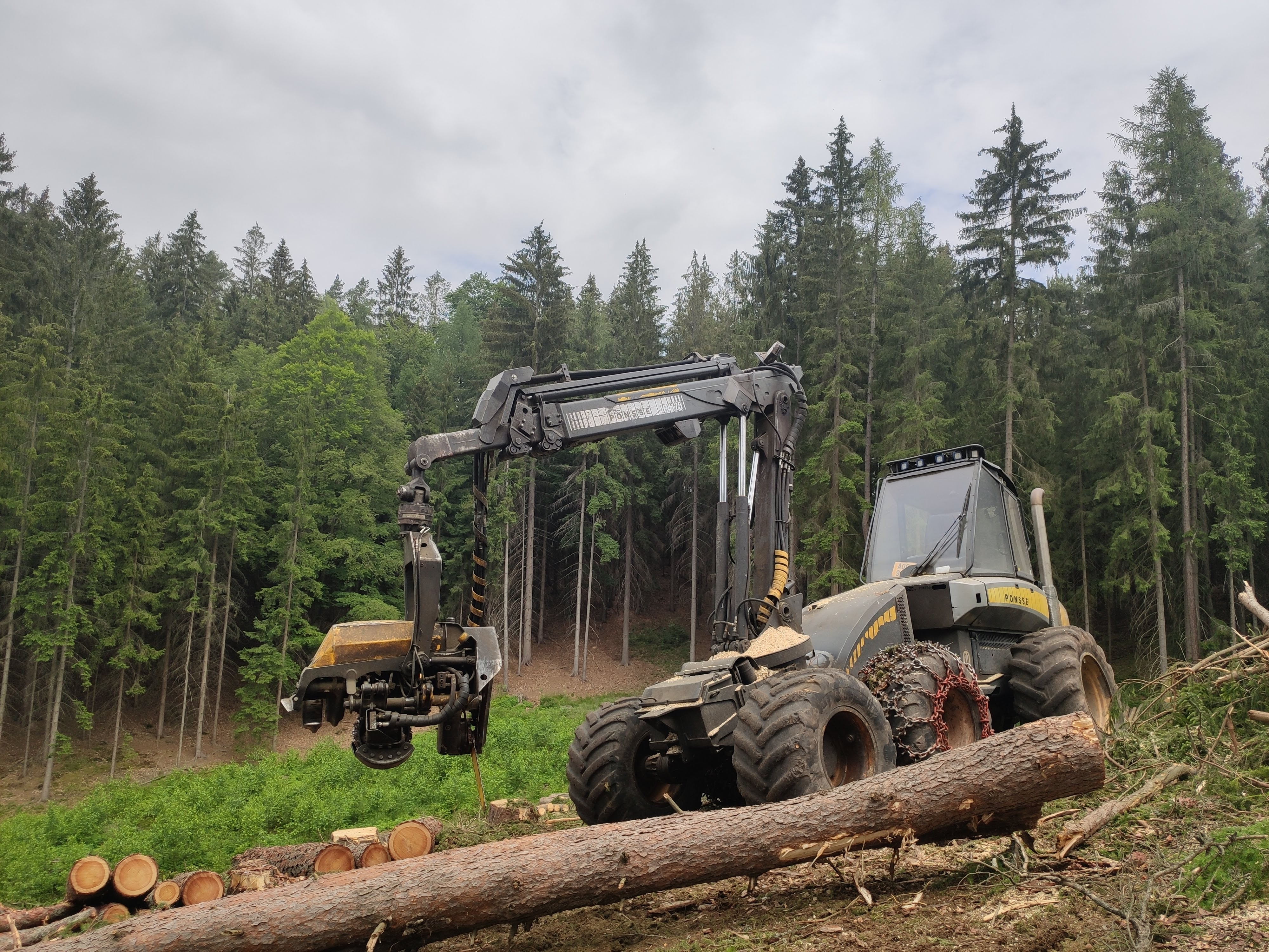 Ondřej Skalský - Služby v lesním hospodářství foto 3