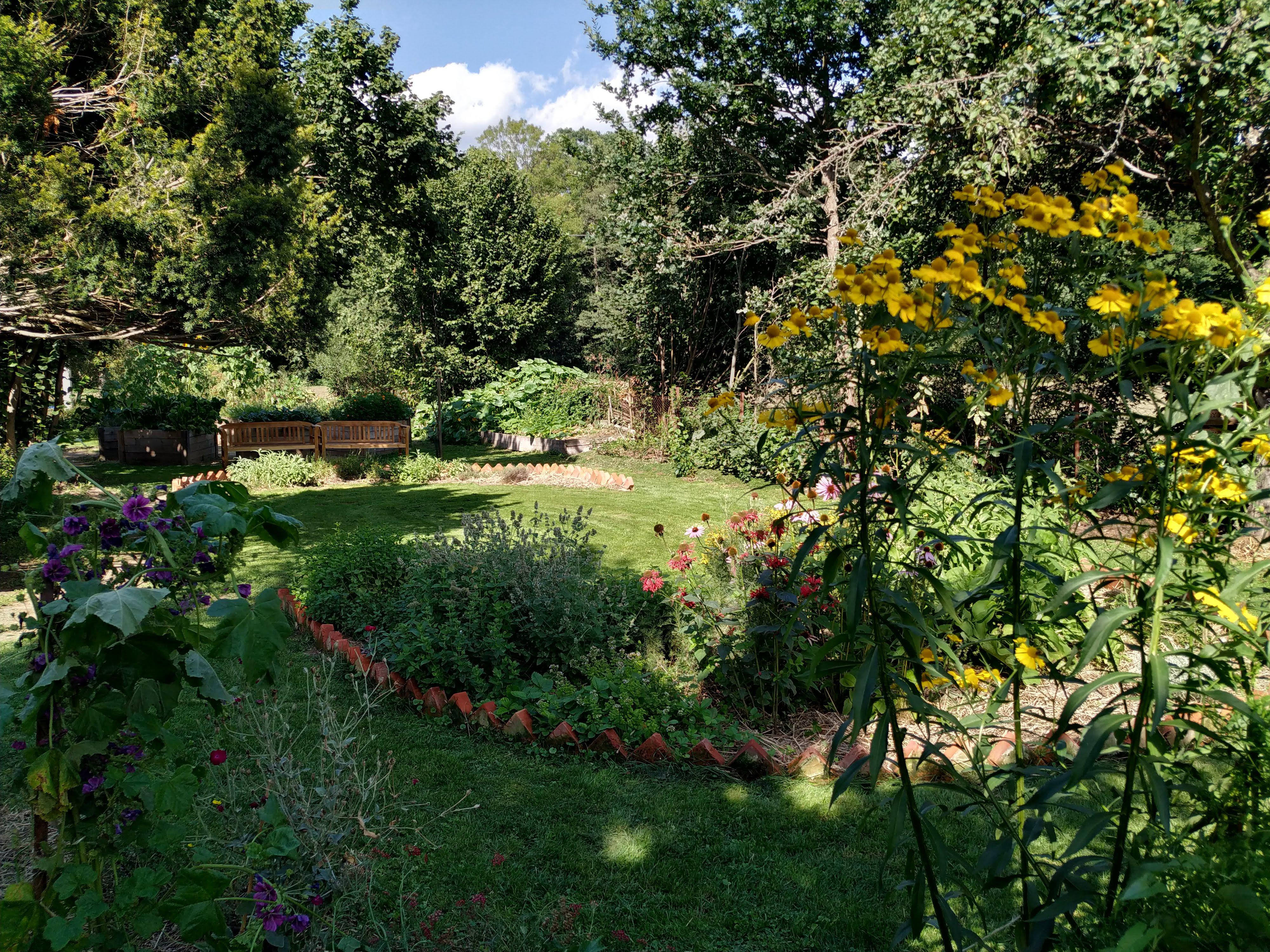 Komunitní centrum Záměl a Zahrada Dobromysl foto 4