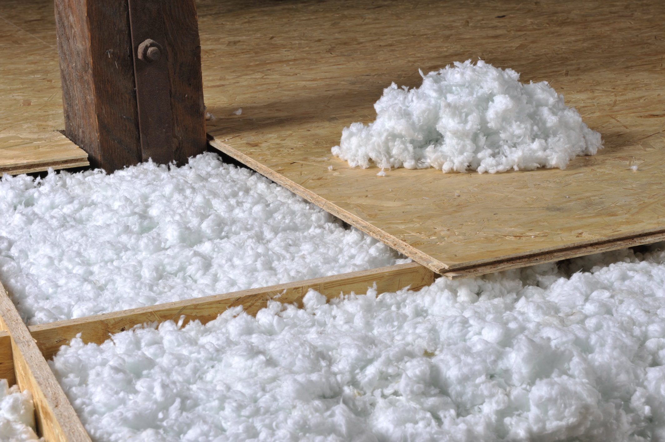 IP Polná s.r.o. foto 6