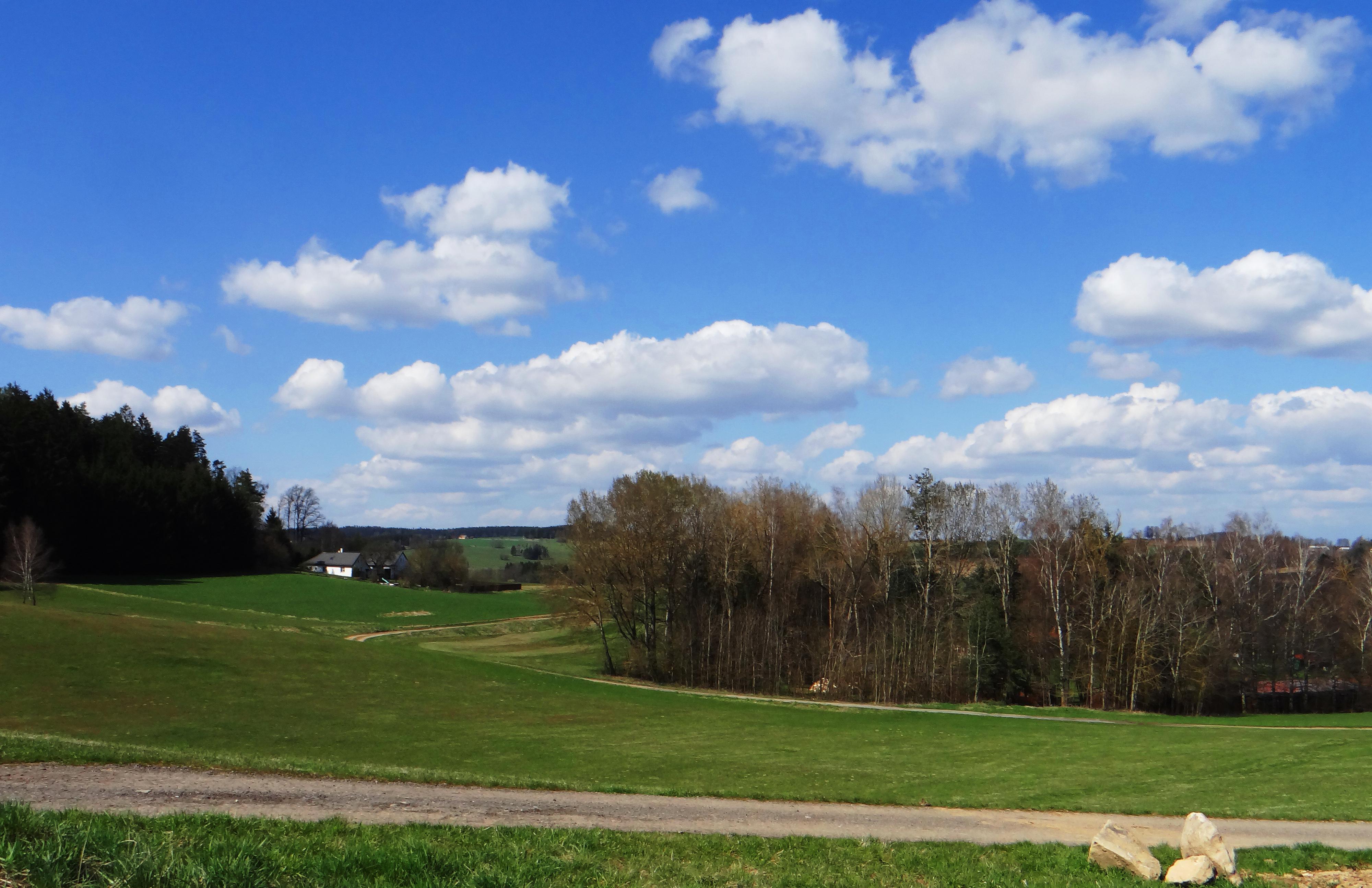 Na Samotě u Lesa foto 5