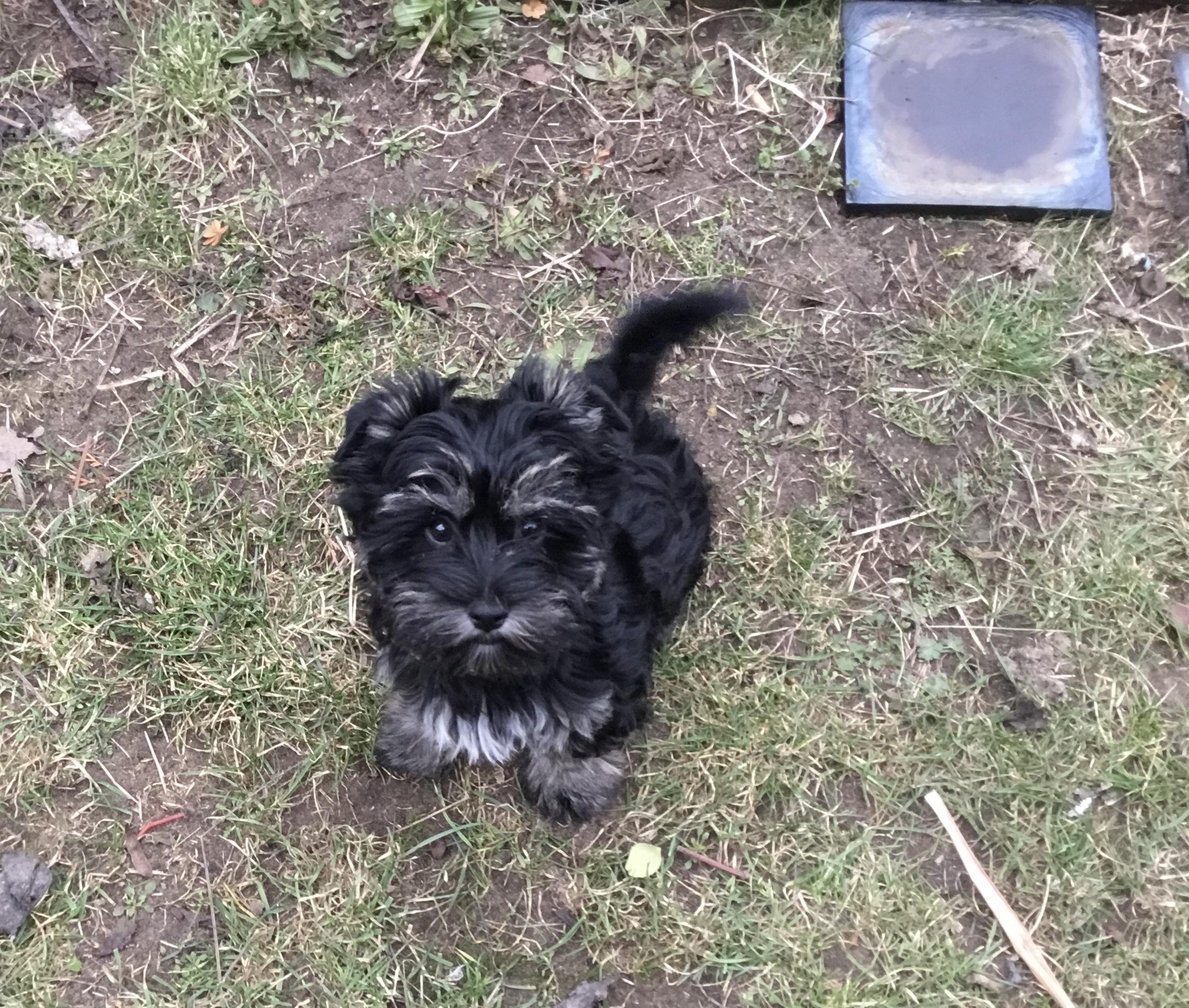 BAKERO - krmiva a chovatelské potřeby foto 4
