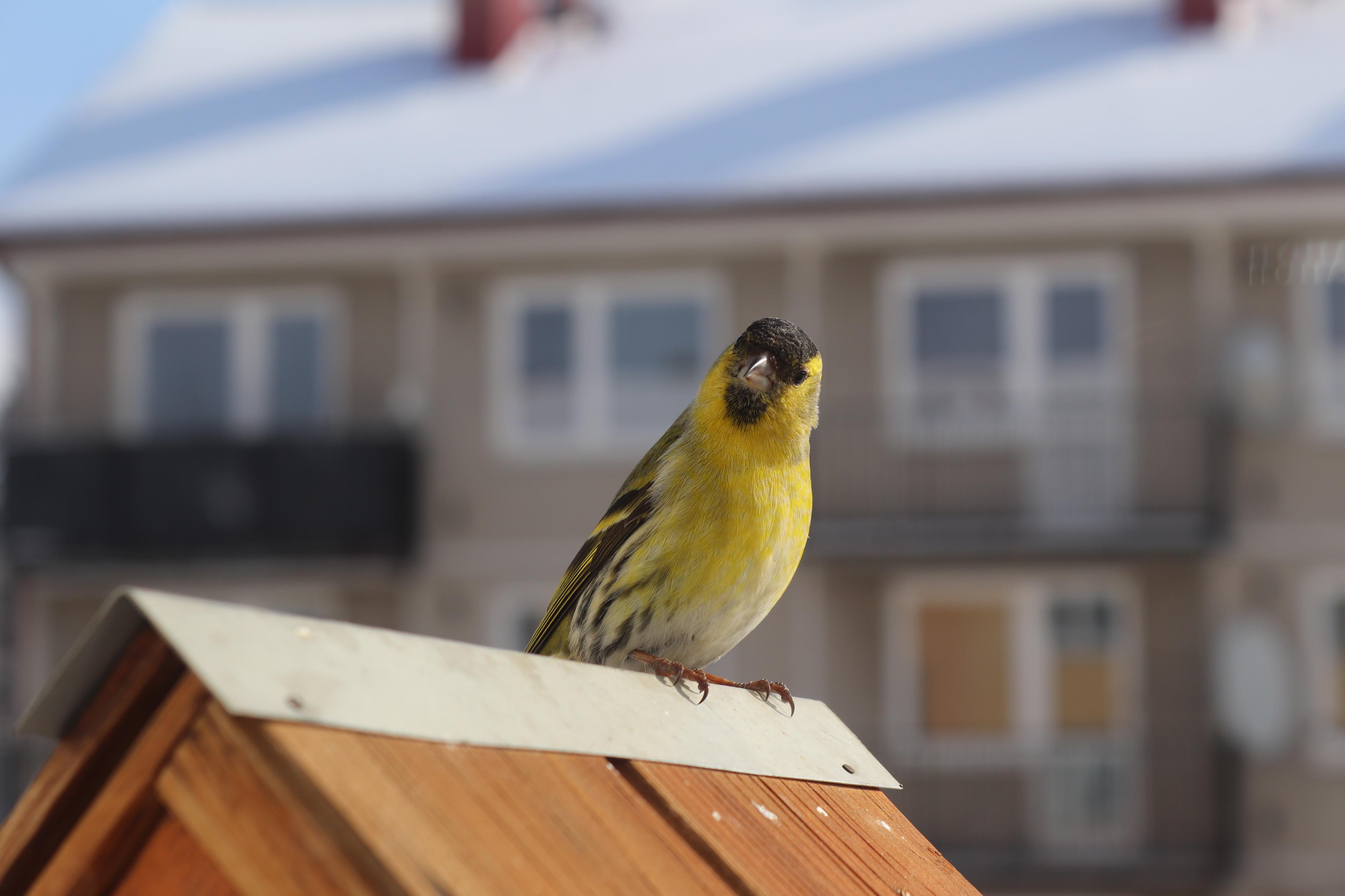 Mateřská škola Horní Lideč, okres Vsetín foto 3