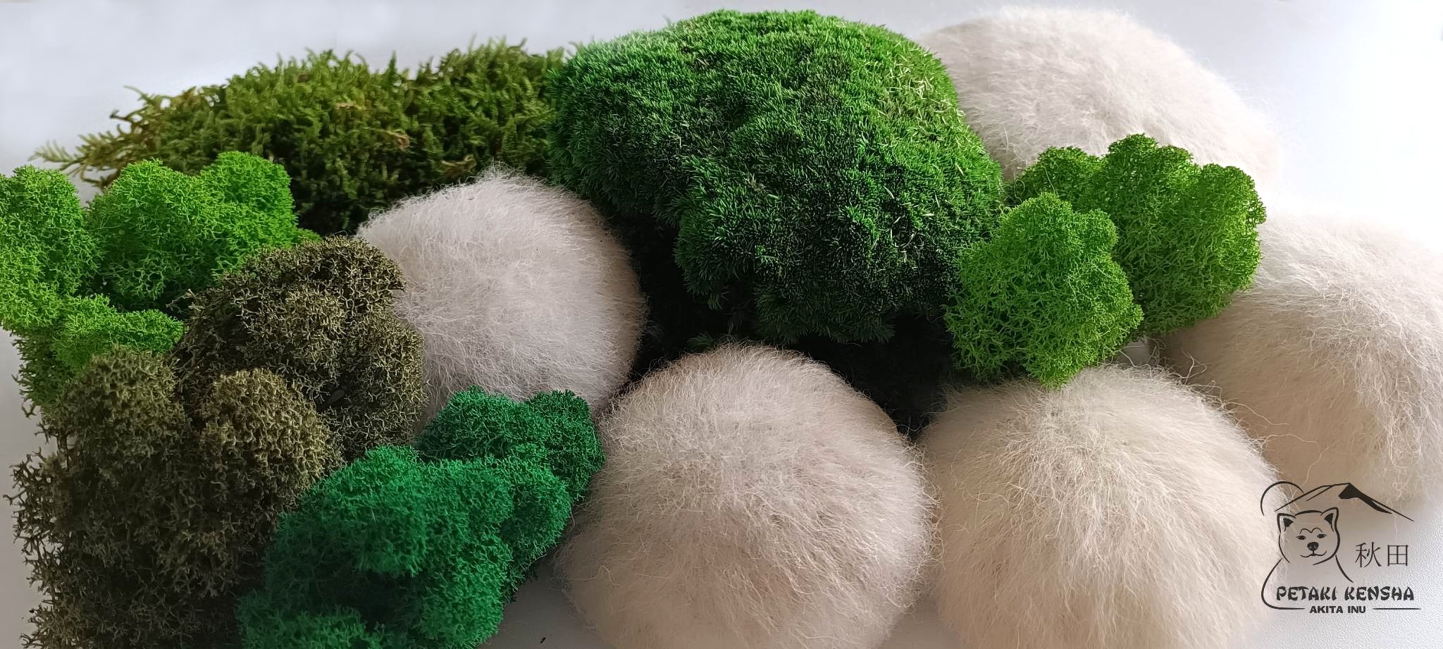 MECH INU Mechové obrazy a dekorace foto 2