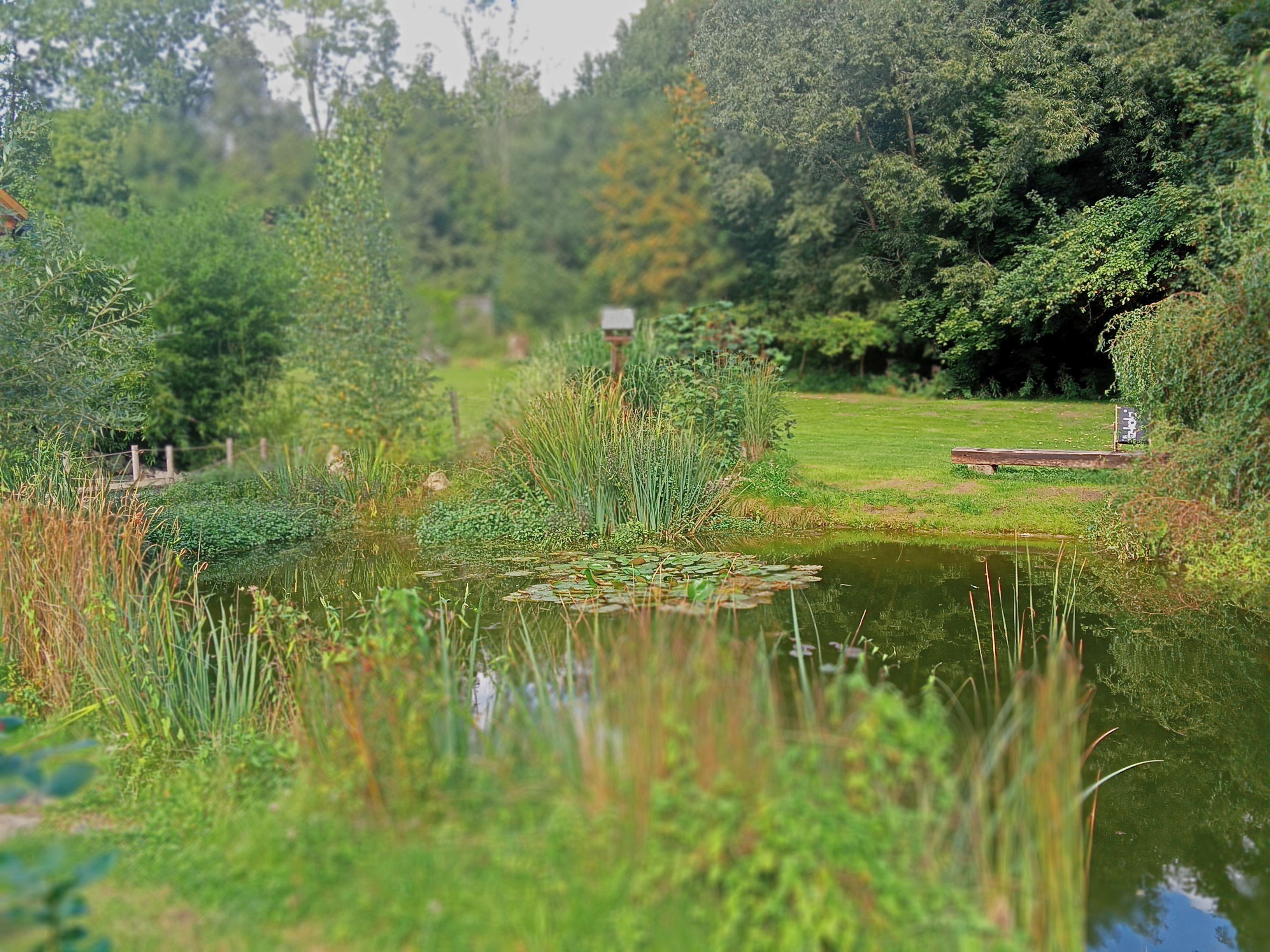 Ábelův Mlýn foto 2