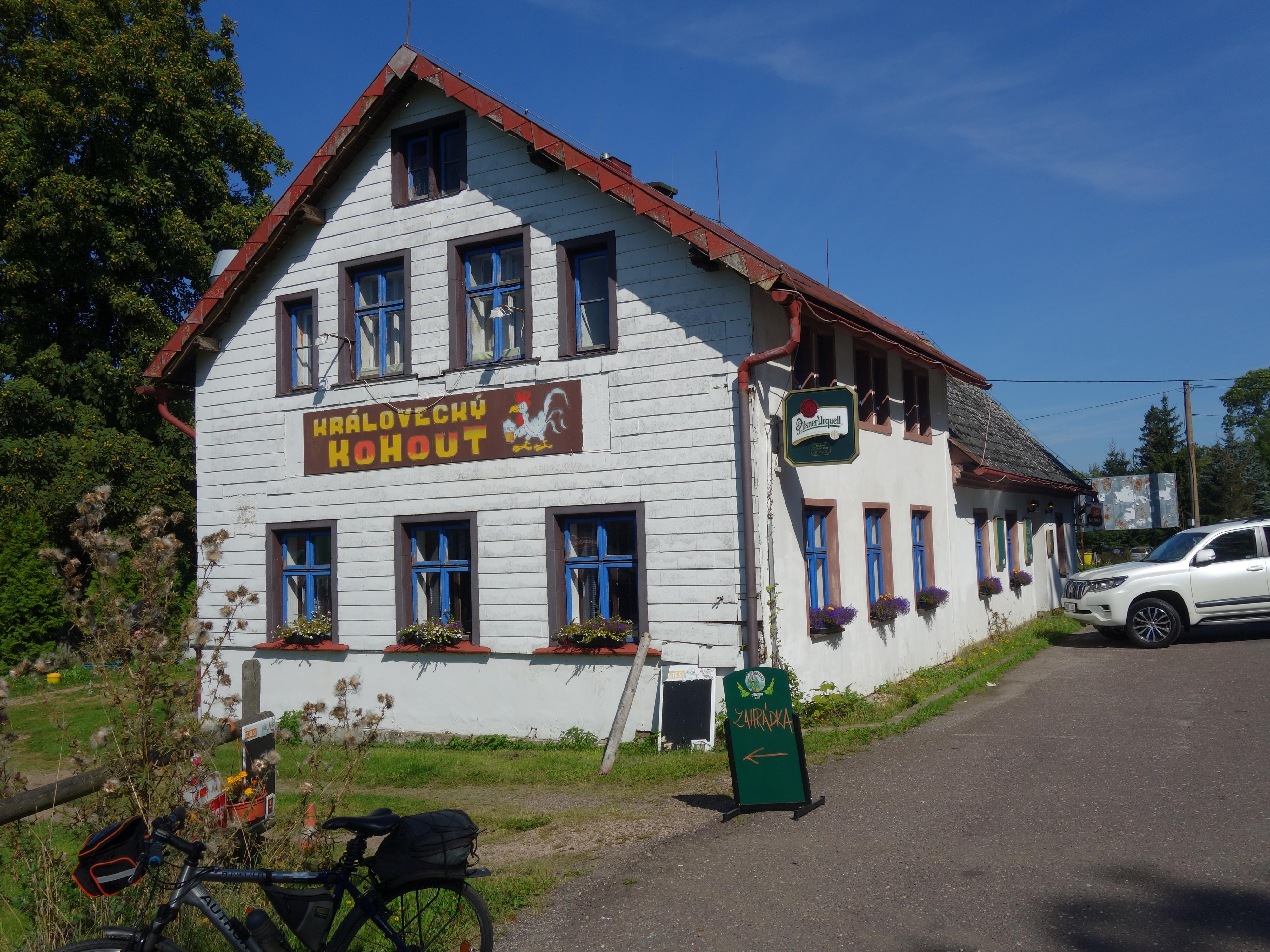 Královecký Kohout foto 4