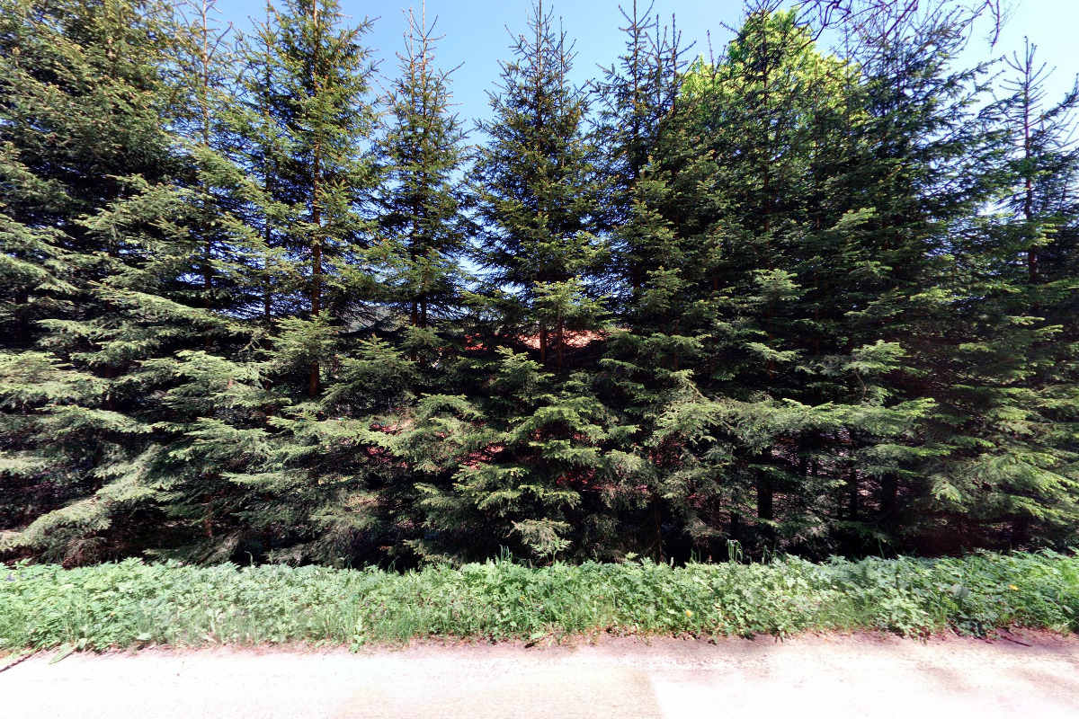 Restaurace chaty Orlice