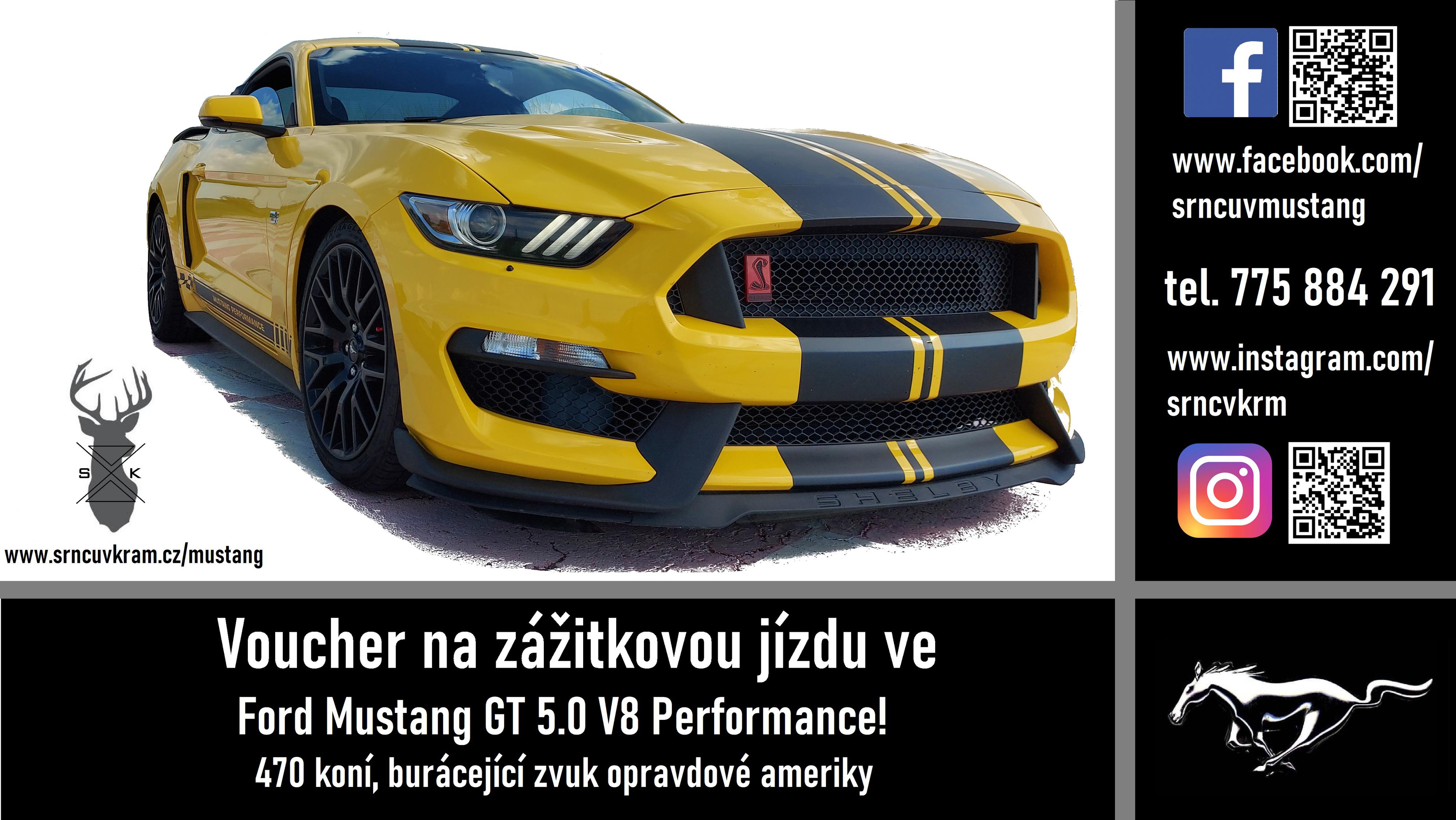 Srncův Mustang foto 5